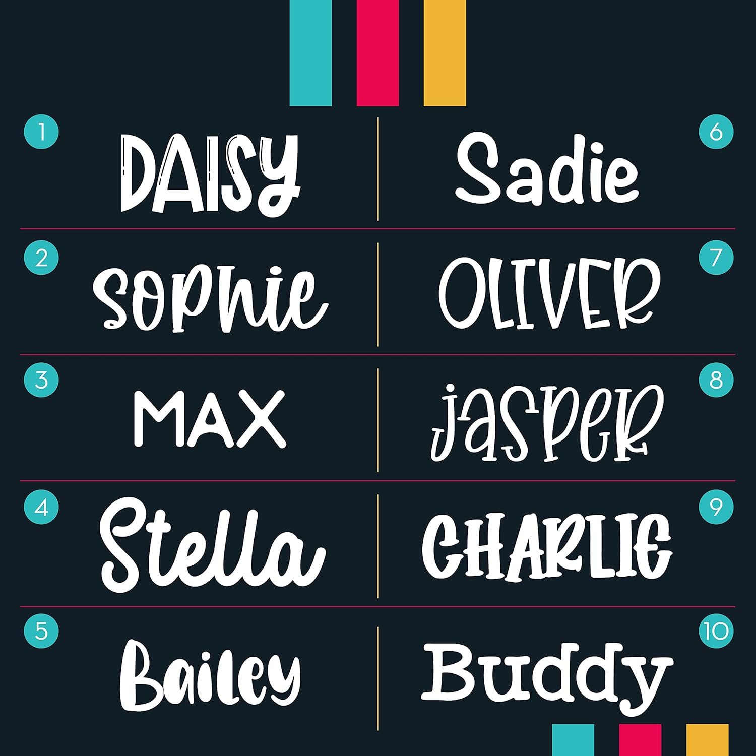 Stainless Steel Engraved Pet ID Tags for Dogs - 4 Color & 5 Shape Options, Up to 7 Lines, Personalized w/ 20 Icons, Name, Address, Phone Number #Bone : Pet Supplies