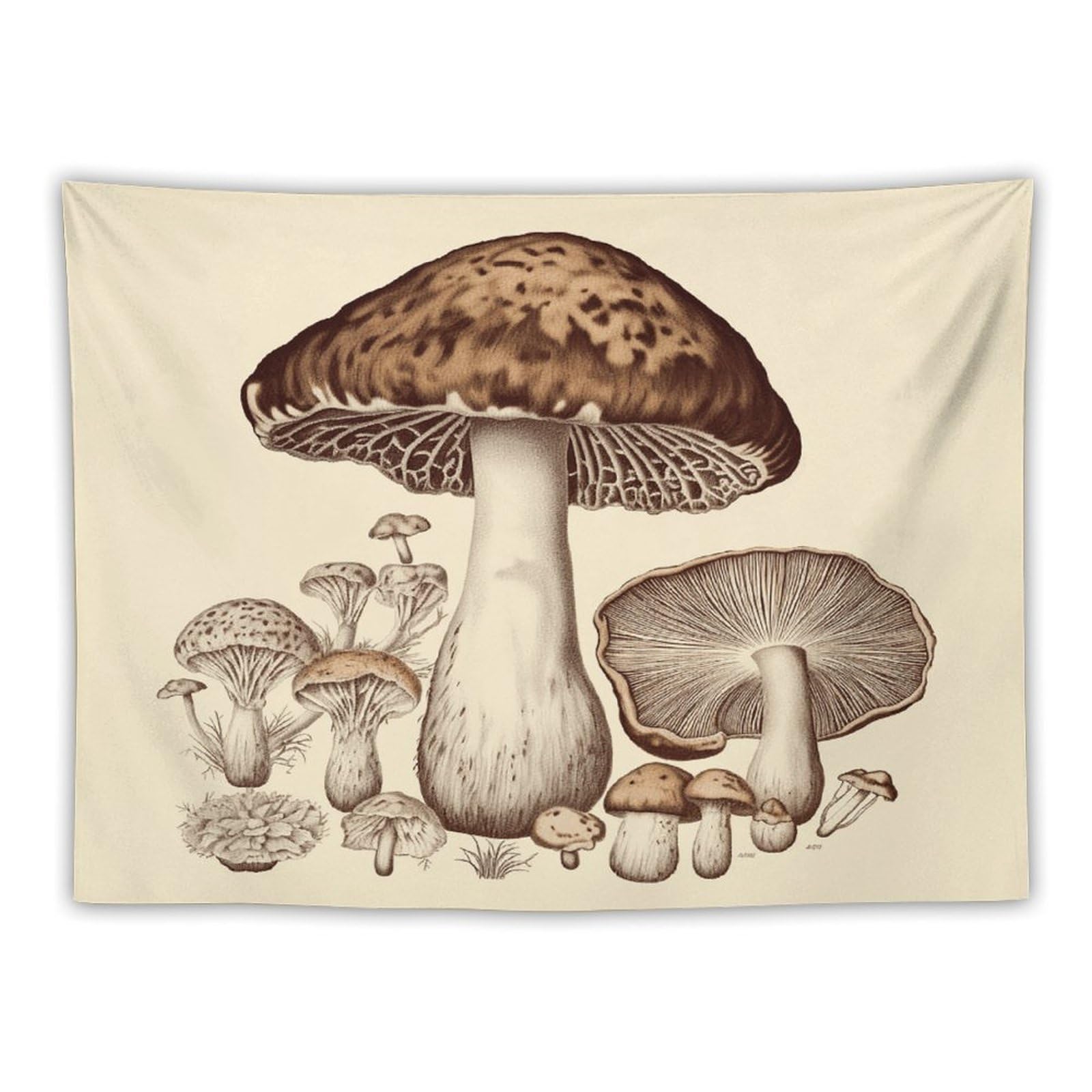 LDGSUPH Vintage Mushrooms Drawing Tapestry Wall Hanging Decor Anti-fading Aesthetic Wall Tapestries Fashion Wall Blanket Decor Modern Wall Art Tapestry for Bedroom Home Decor 30"x40"