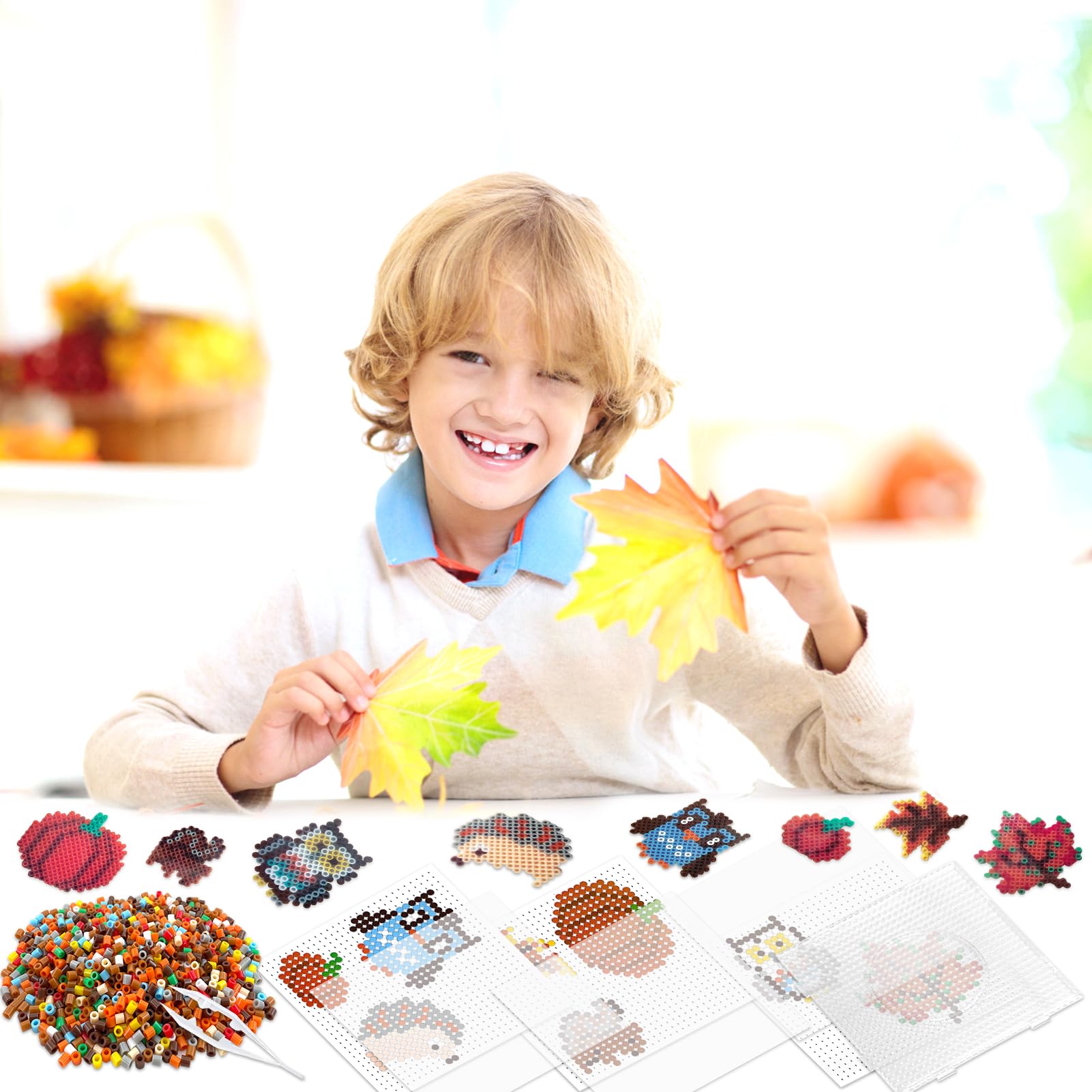 Chauve Souris Perles à Repasser - France