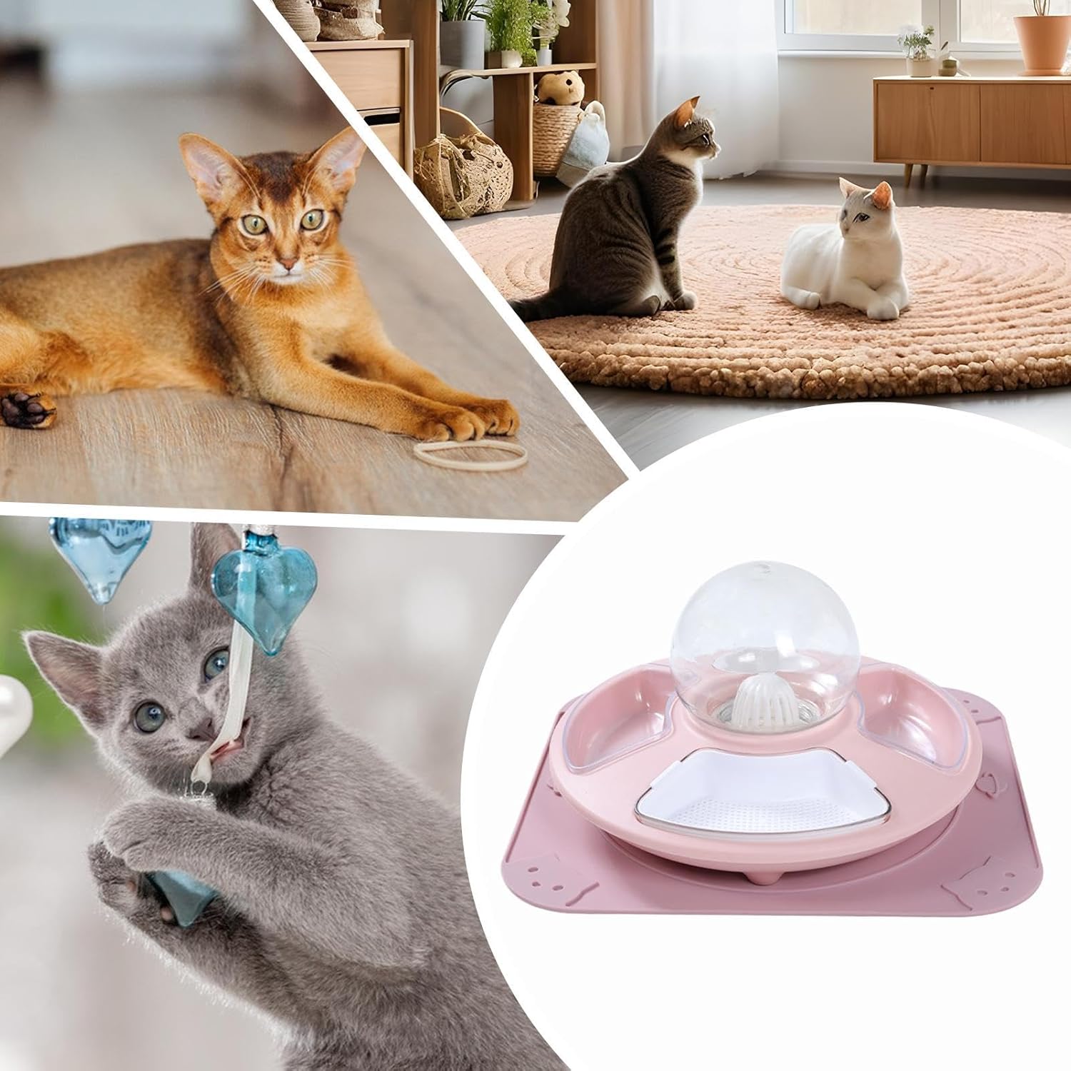 Cat Food Bowl | 多機能子猫用フードと水のボウル | 滑り止め付き子猫用水容器 食事タイムルーティン 屋内屋外バルコニ