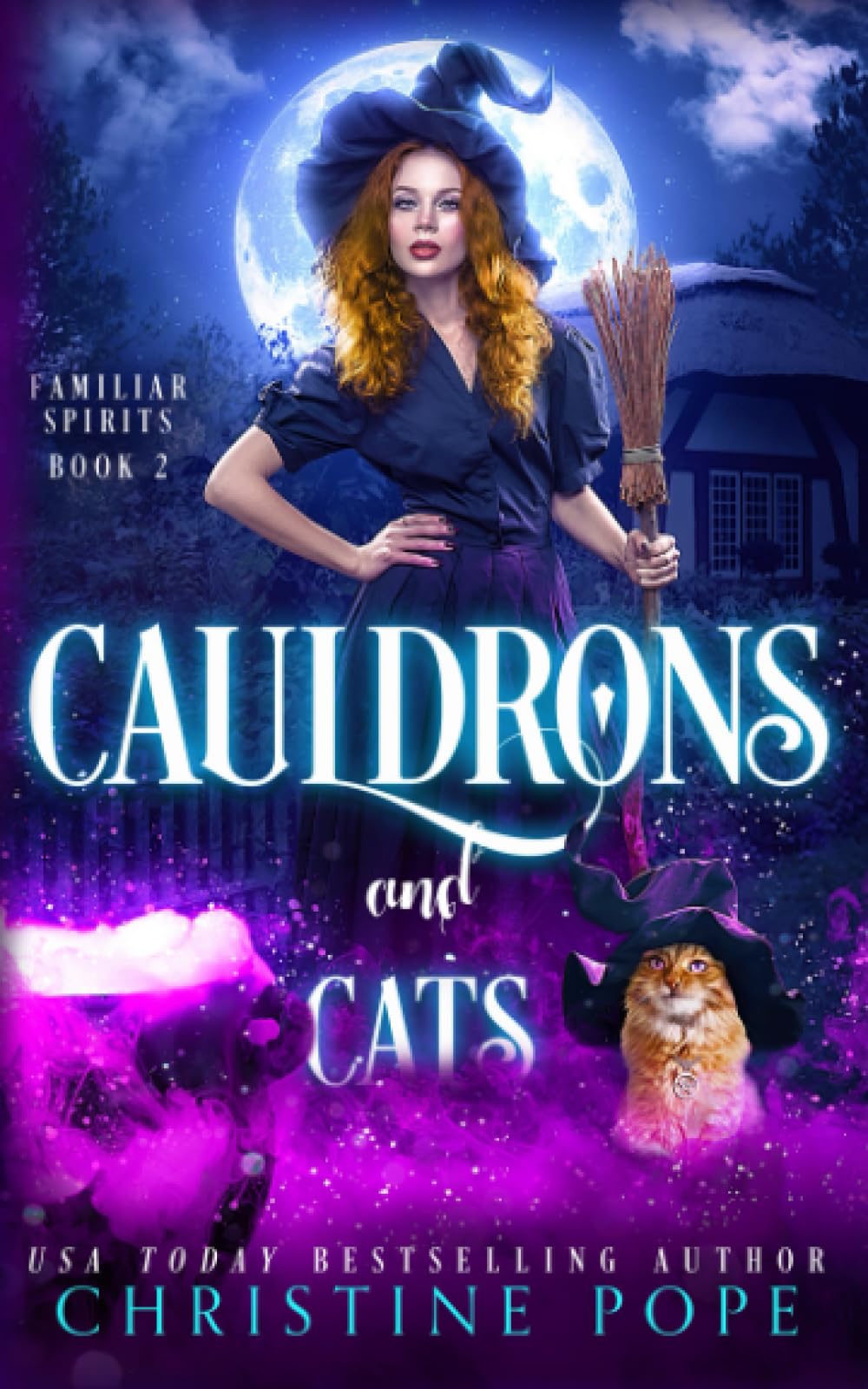 Cover of Cauldrons and Cats