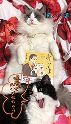 お客様イメージ