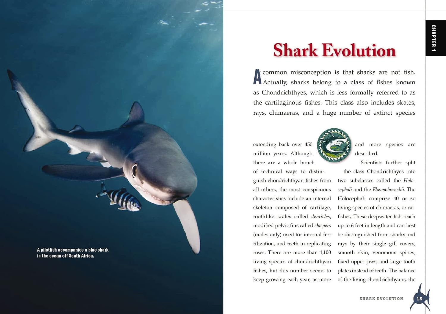 The Shark Handbook: Second Edition: The Essential Guide for Understanding the Sharks of the World