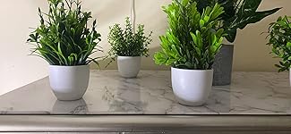 Review Image by Chelsea