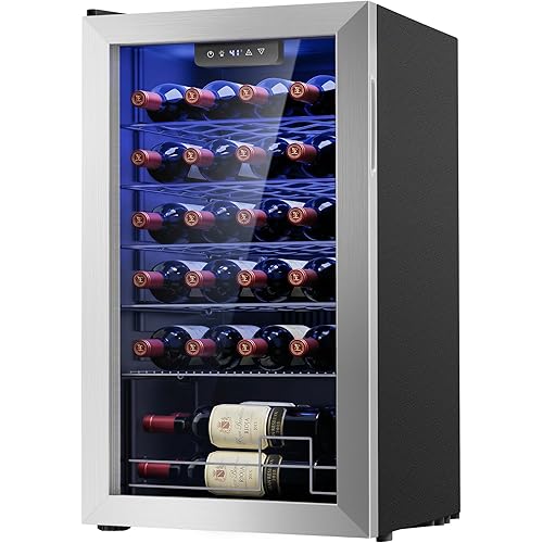 25 Bottle Compressor Wine Cooler Refrigerator, Freestanding Wine Cellar, 41-64°F Adjustable Temperature, Double-layer Glass Door, for Home Bar, Red and White Wine, Silver