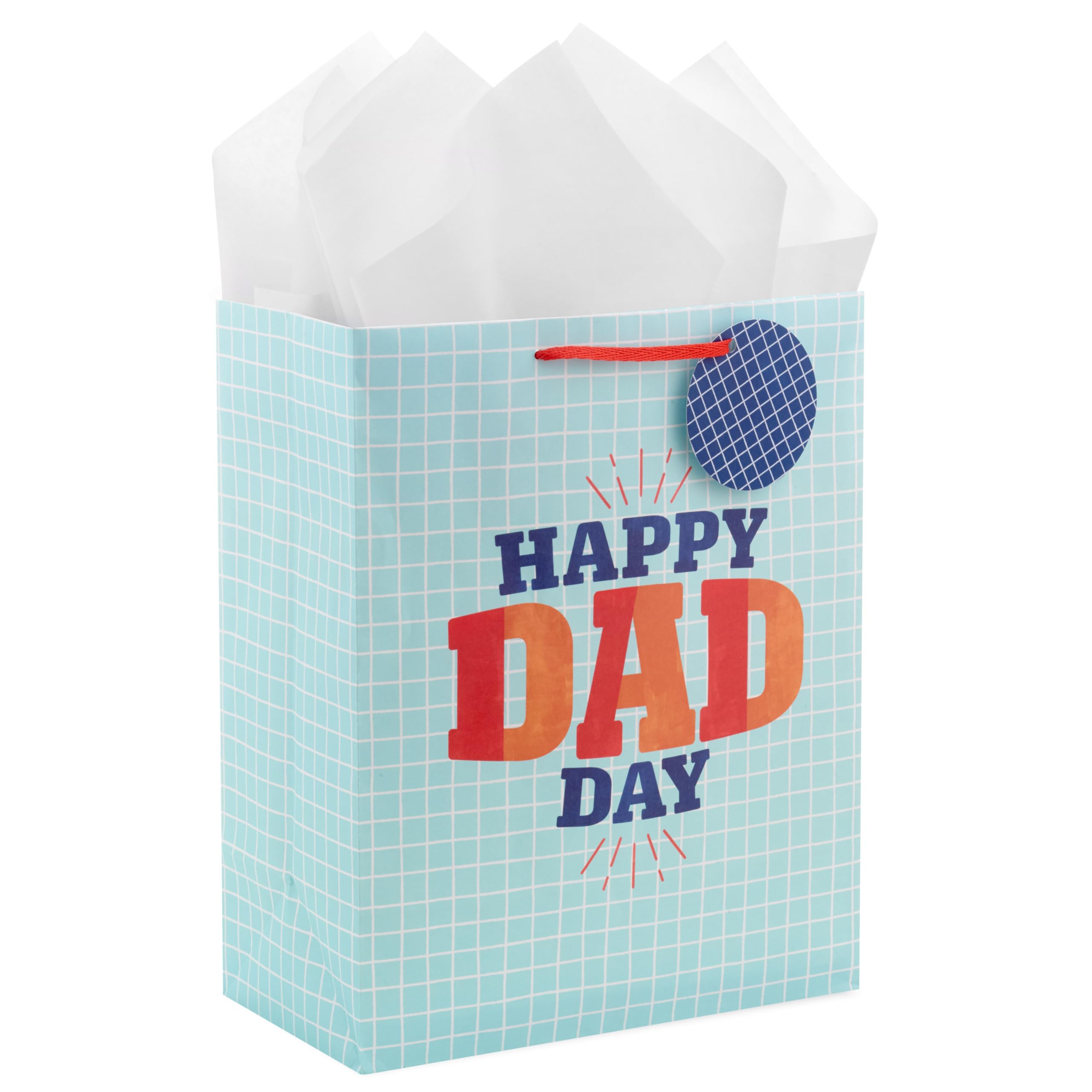 13" Large Father's Day Gift Bag