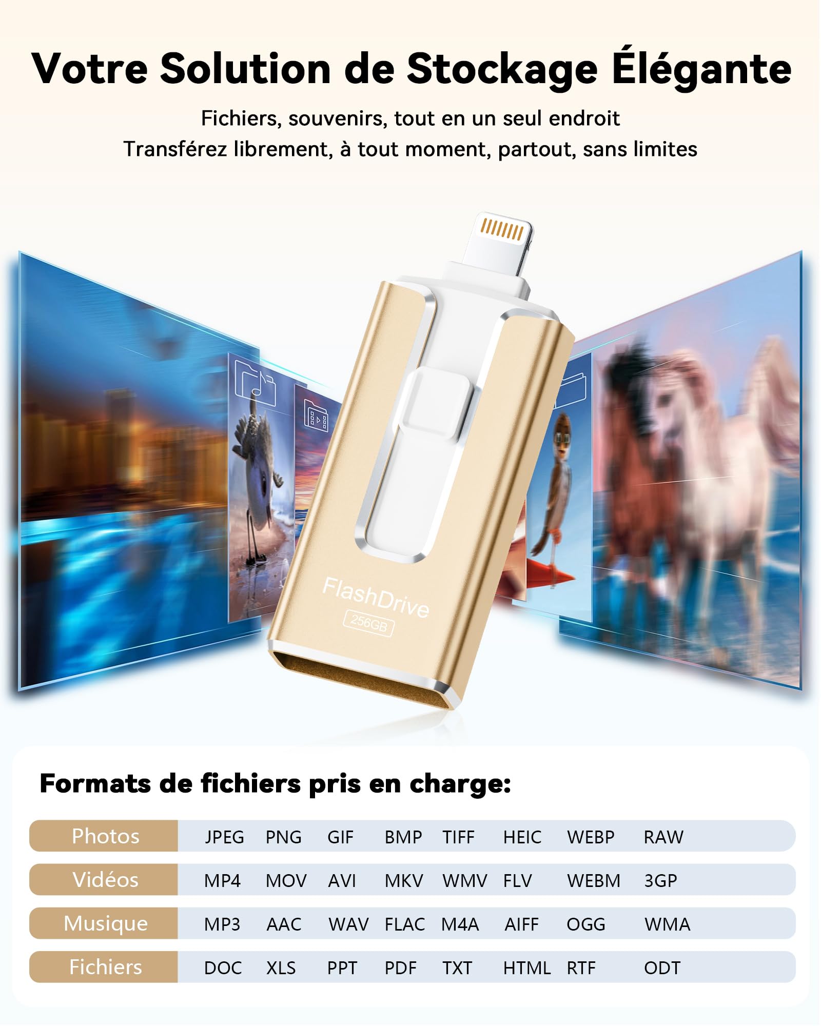 SUDEHO Chiavetta USB-C da 256 GB, chiavetta USB per iPhone, MFi certificata (oro) | Design 3 in 1 per iPhone, iPad, USB-C, Android e PC. Trasferimento ad alta velocità di foto, video e file.