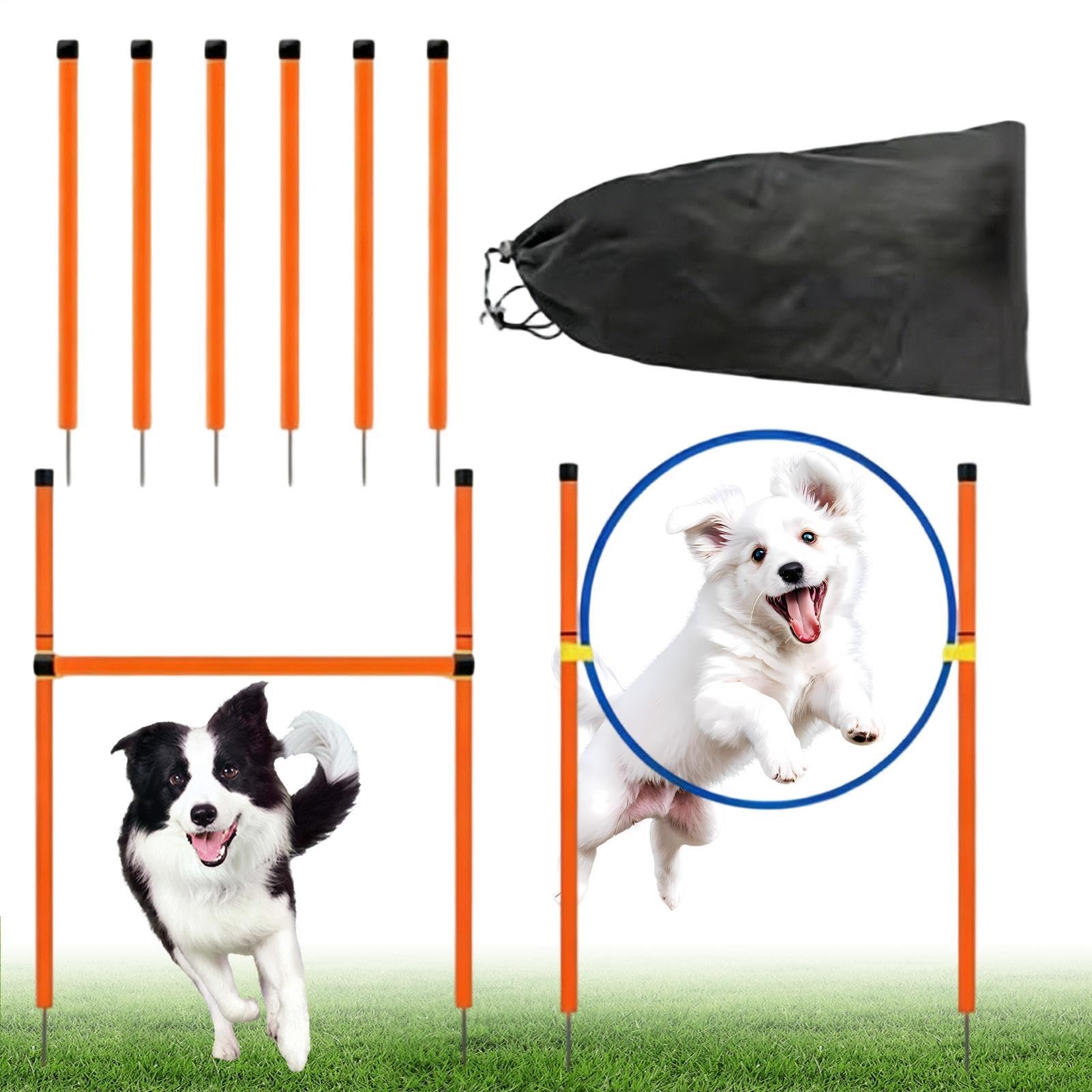 Curso de agilidad canina juego con ejercicio con | equipo lúdico para perros en el jardín para Jardín, Parque, Playa, Zona Recreo, Campo, Competición, Recreación al
