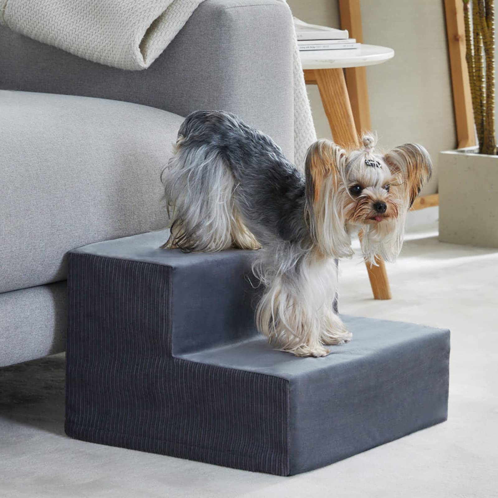 WNPETHOME Dog Stairs for Small Dogs, Pet Stairs and Dog Steps for Couch