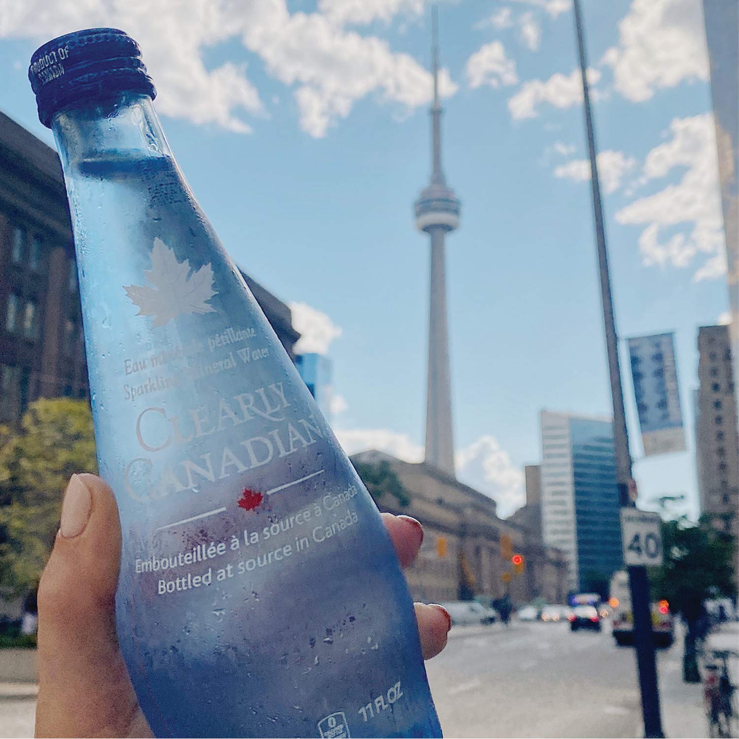 Buy Clearly Canadian Clearly Sparkling Spring Water Beverage, Natural