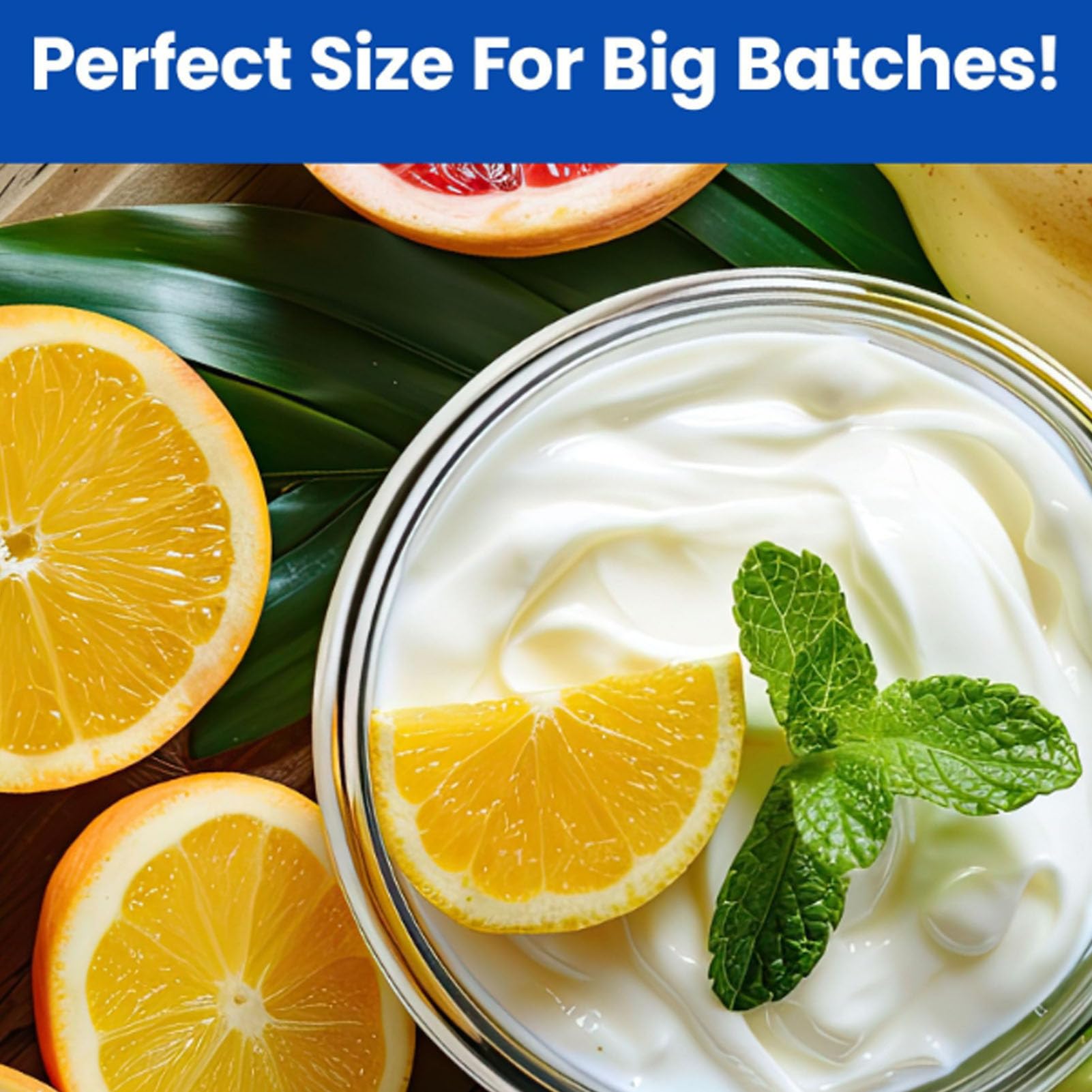Macchina per Yogurt 2L con Controllo Automatico e Temp, Macchina per Yogurt Greco, Timer 48H e Barattoli di Vetro Facili da Pulire, per Gelato Fatto in Casa (Plug 220v)