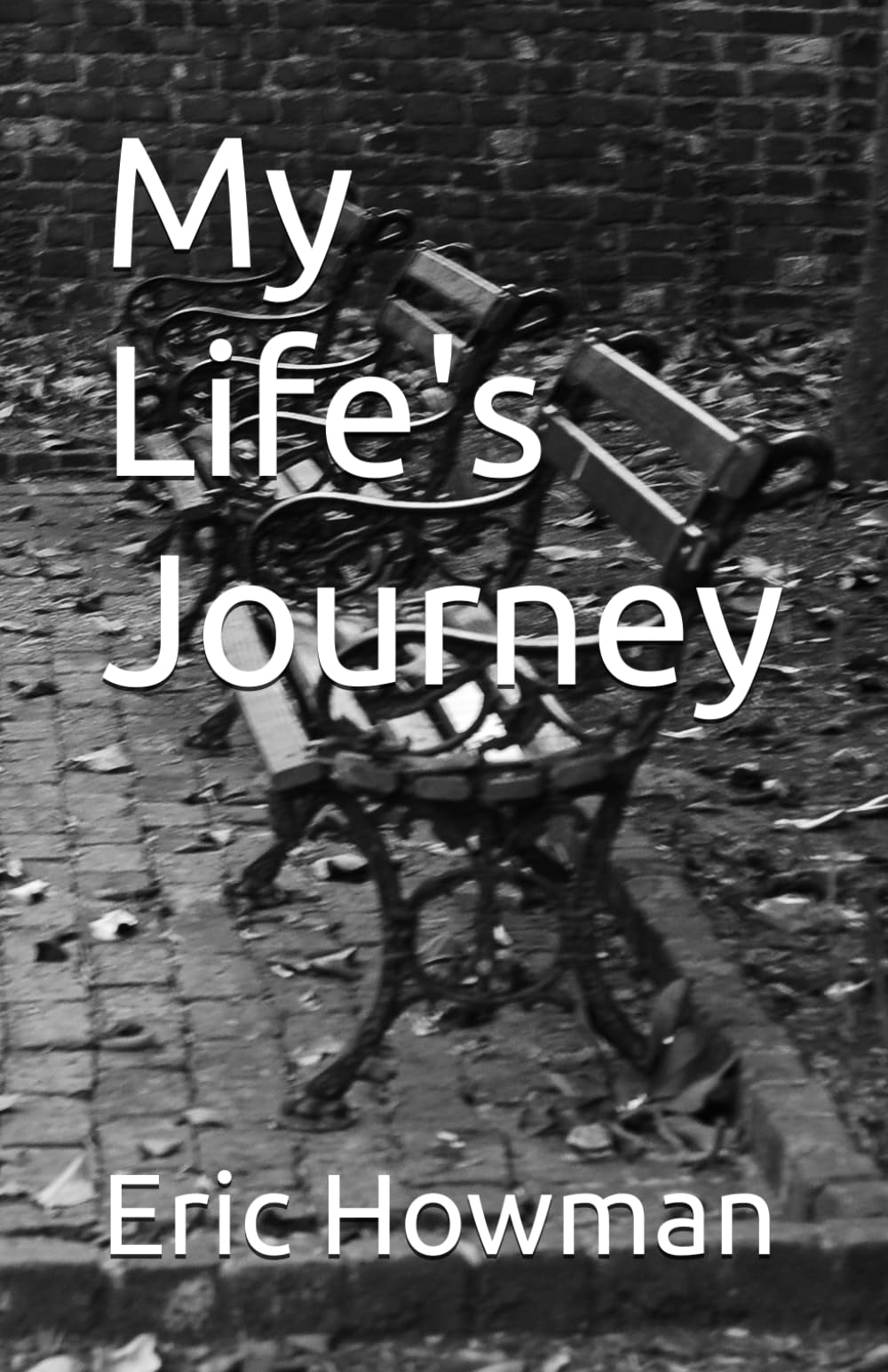 My Life's Journey