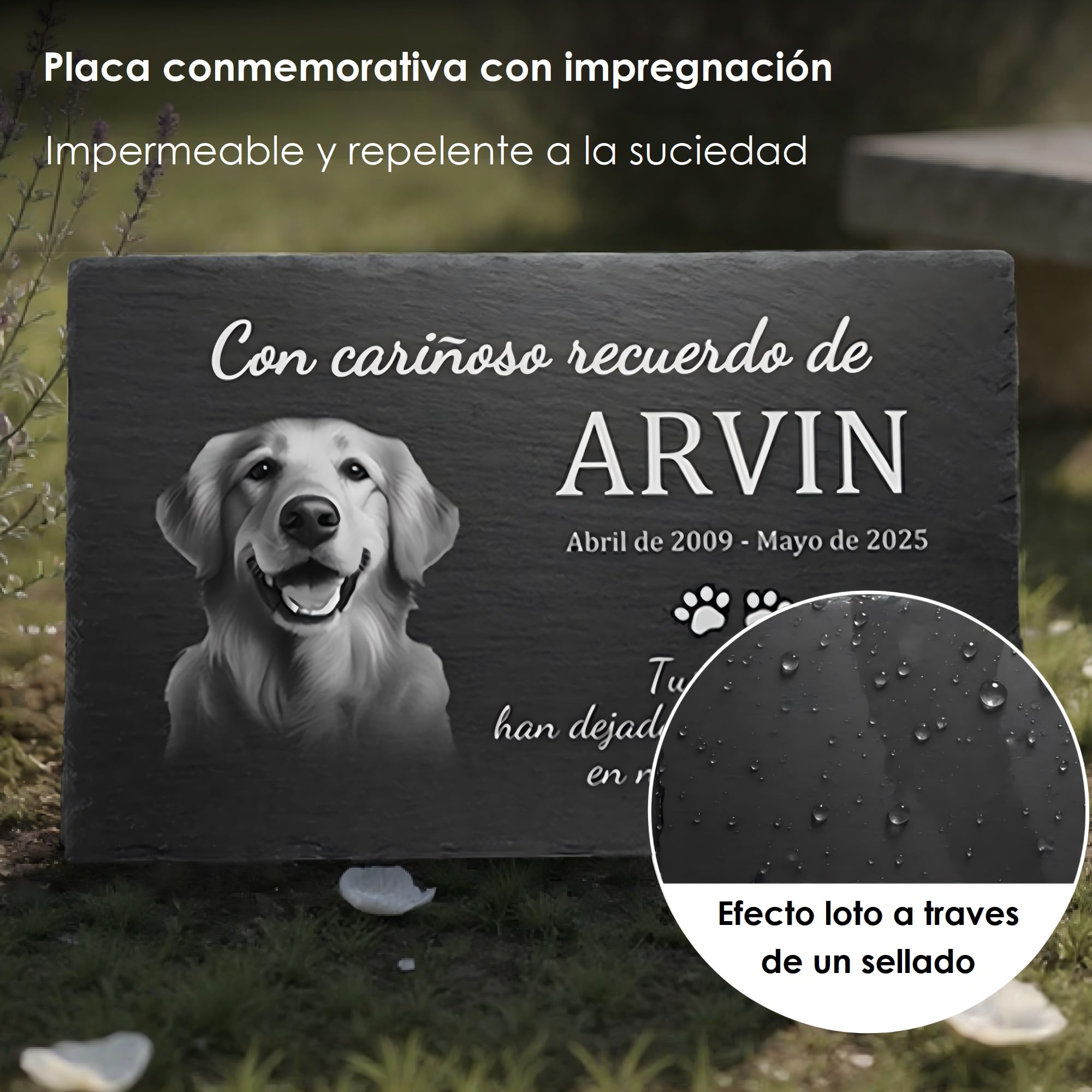 Placa Conmemorativa Personalizada para Mascotas en Pizarra Natural – Memorial para Perro o Gato con Foto y Texto Grabado – Apta para Exterior – 30x15 / 30x20 / 40x30 cm