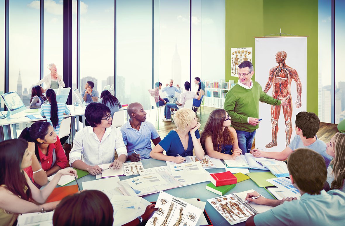 Image secondaire de Planche Pédagogique Bactéries 3B Scientific - Modèle V2041M