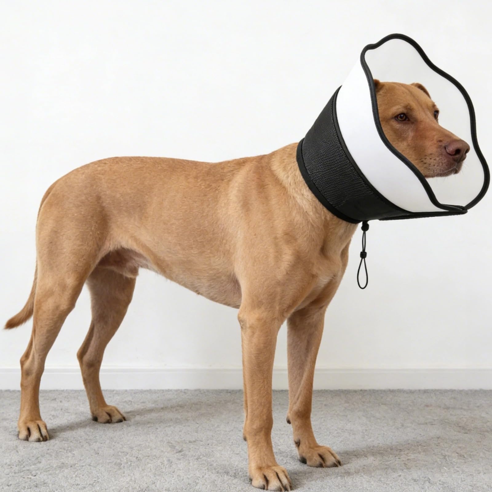 Hundekragen Alternative für große Hunde, schwarzer weicher Schutzkragen mit atmungsaktivem Mesh, Verstellbarer Haustierkragen, gegen Lecken, 38 bis 47 cm Halsumfang