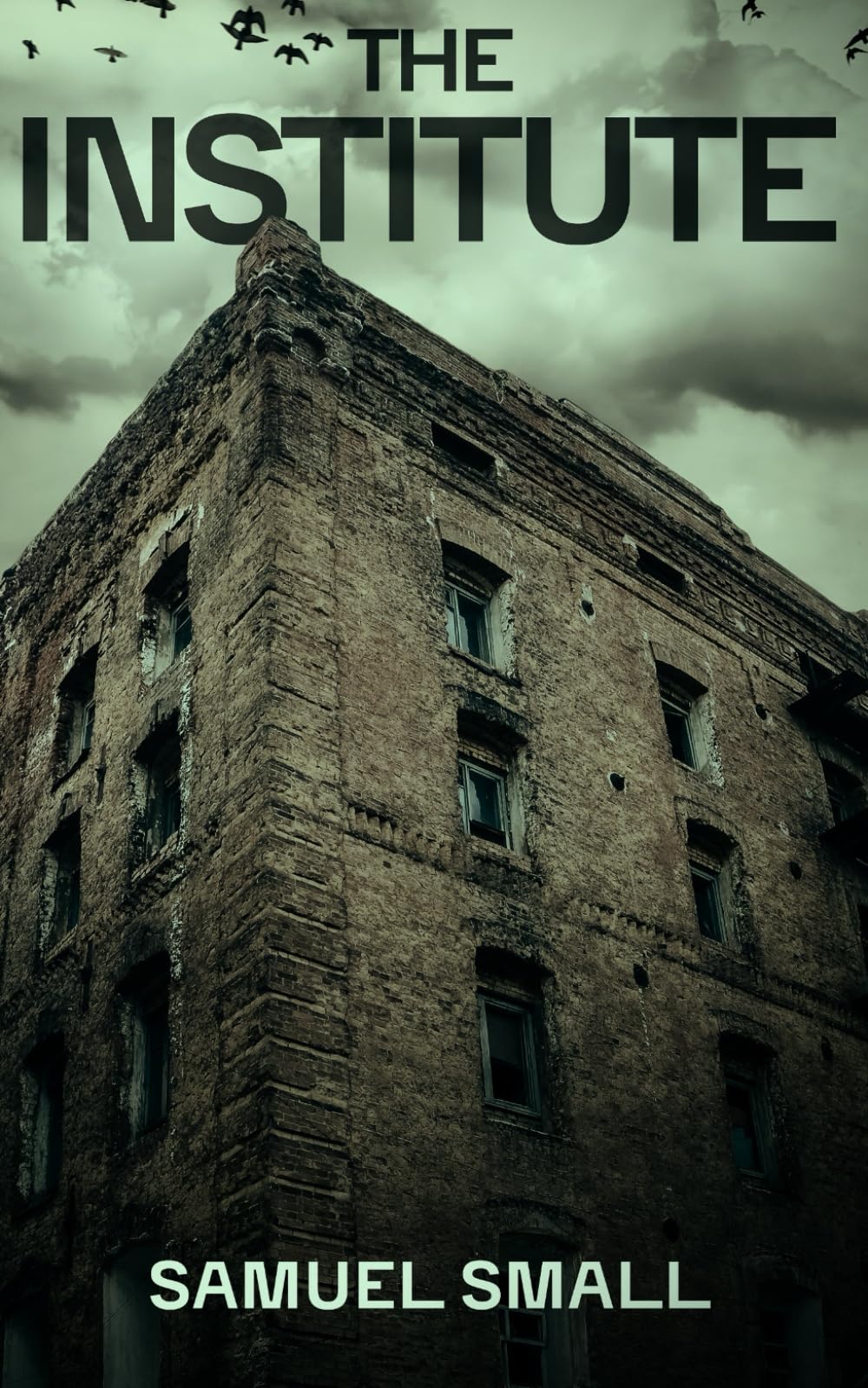The Institute: A Haunting Horror Novel (The Well Series)