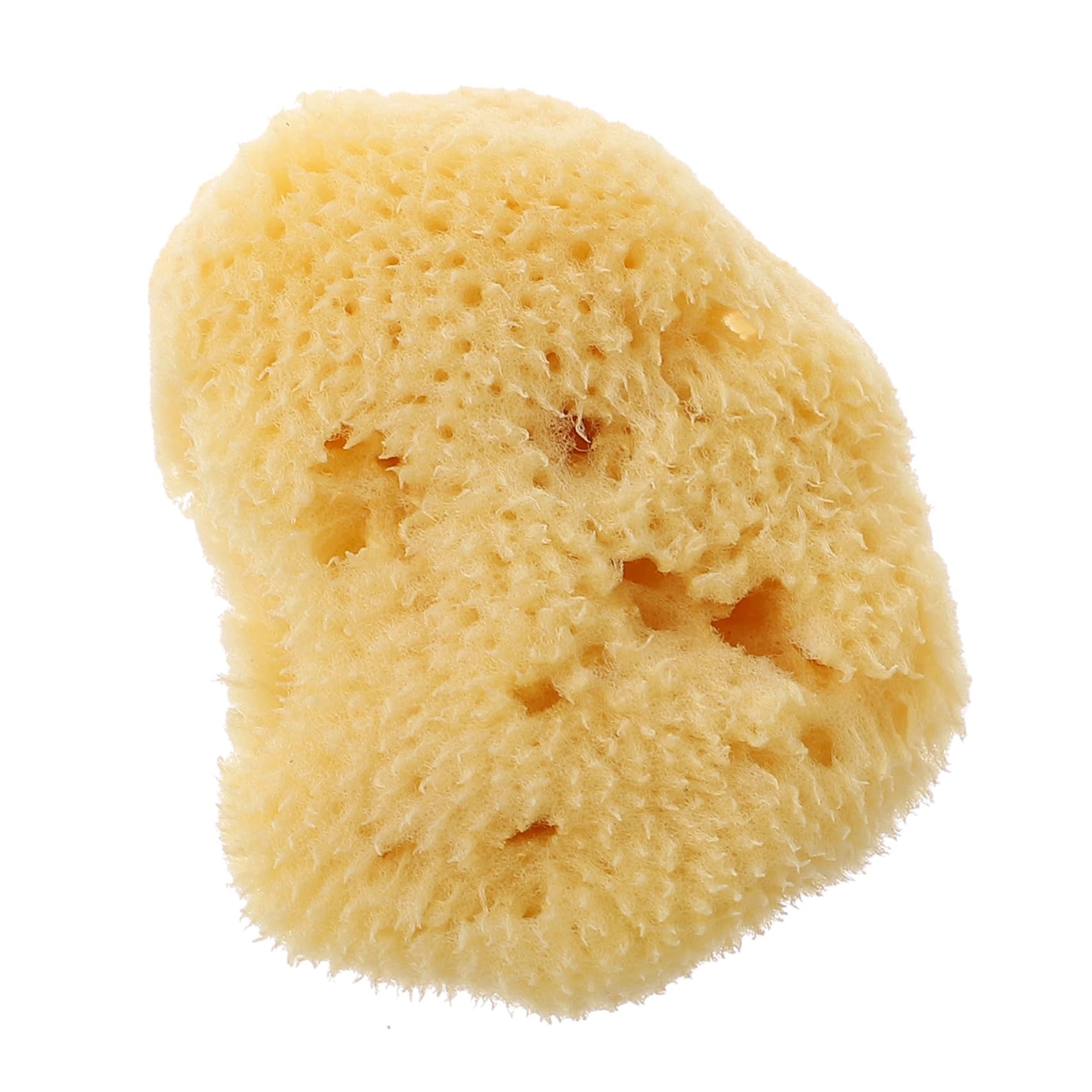 ERINGOGO Watercolor Sponge Painting Tool Natural Texture Sponges for Art and Craft Random Shapes for Graffiti and Creative Projects