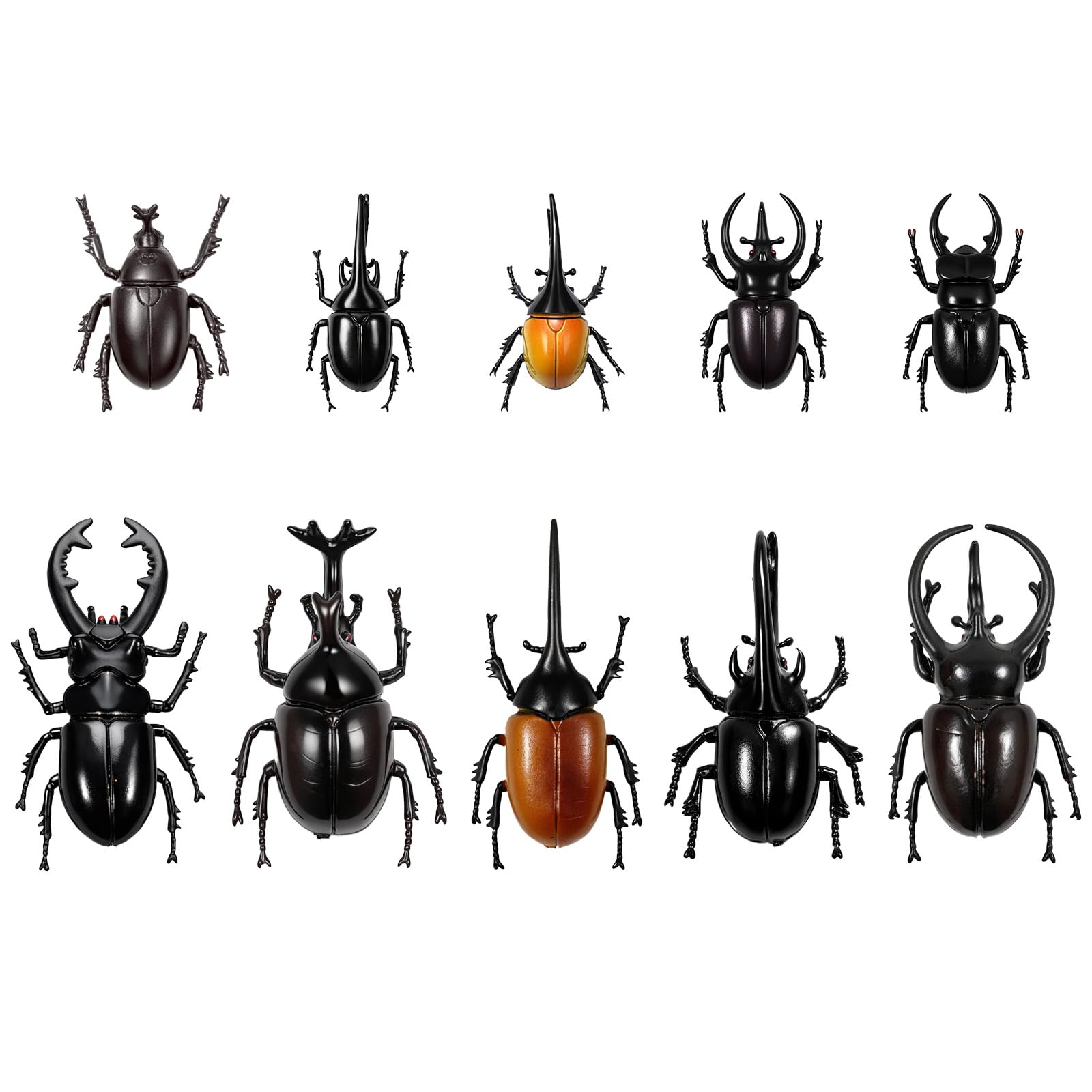 Bbiamsleep 10pcs Beetle Figurine Realistic Beetles Figure Models Garden Animal Simulated Beetle Figures