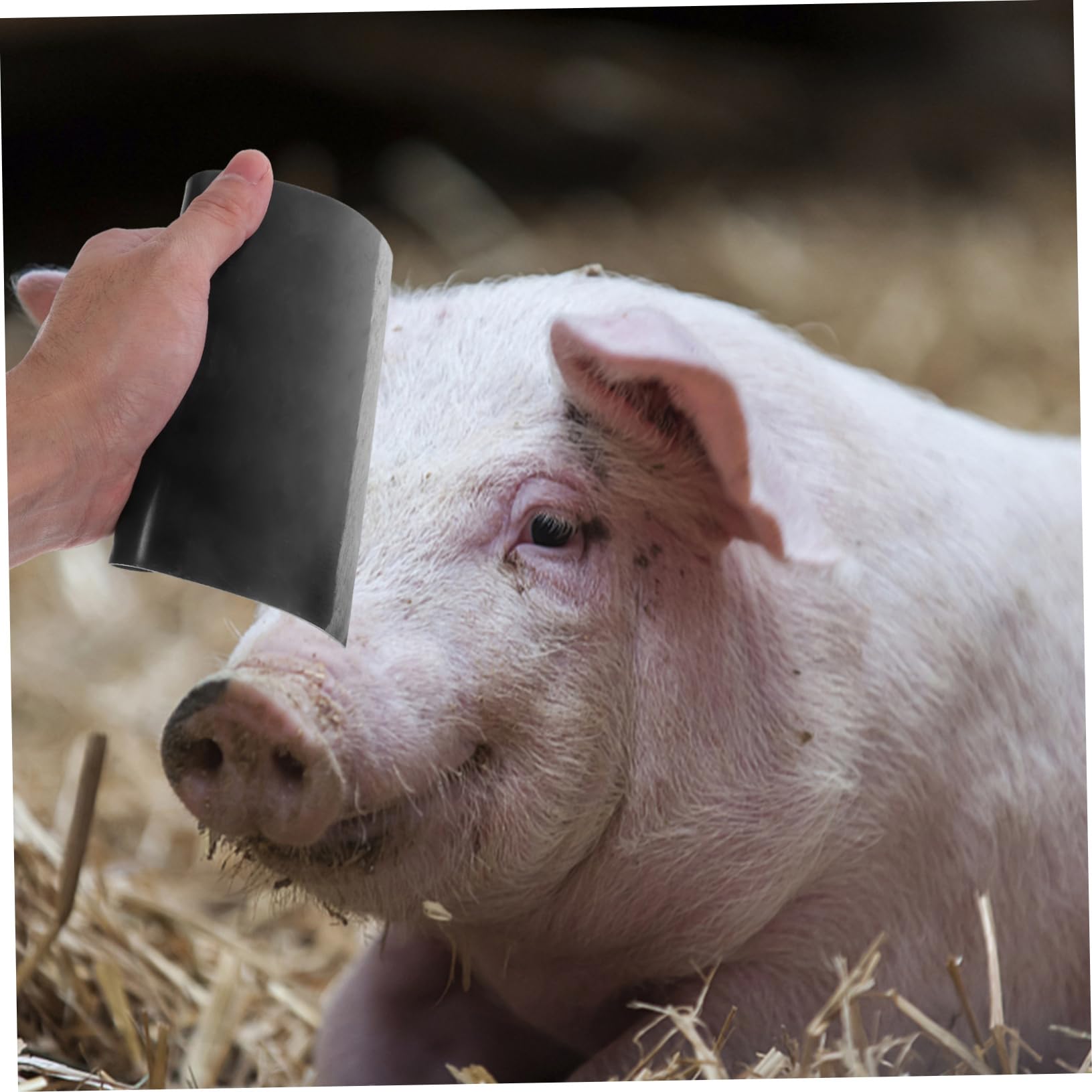 NAMOARLY Portable Pig Hair Scraper Set 2pcs Steel Hair Remover for Animal Pet Removal Tool Home and Kitchen Gadget