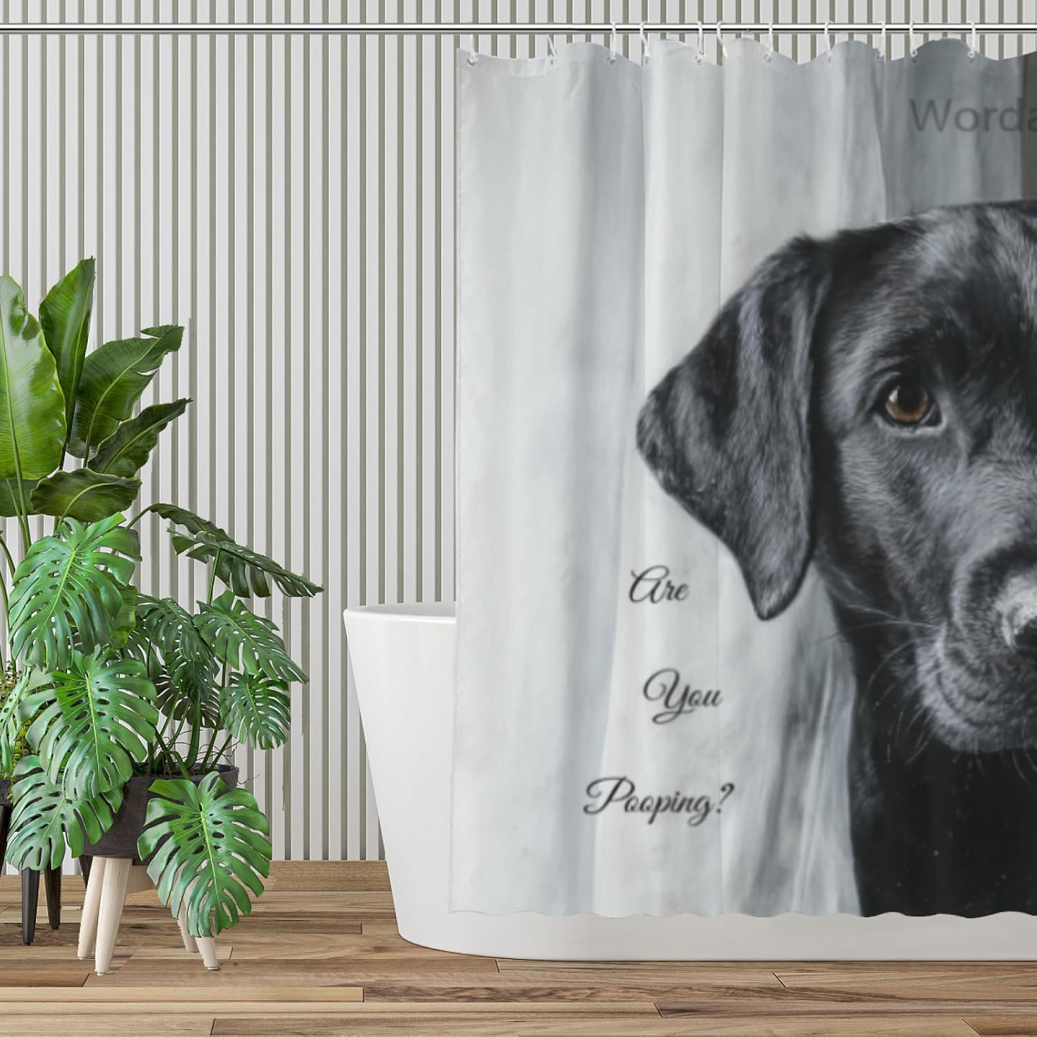 Black Labrador Dog Shower Curtain are You Pooping Decor Fabric Bathroom Curtains, Kids Children Rustic 72x72 Inch Black and White