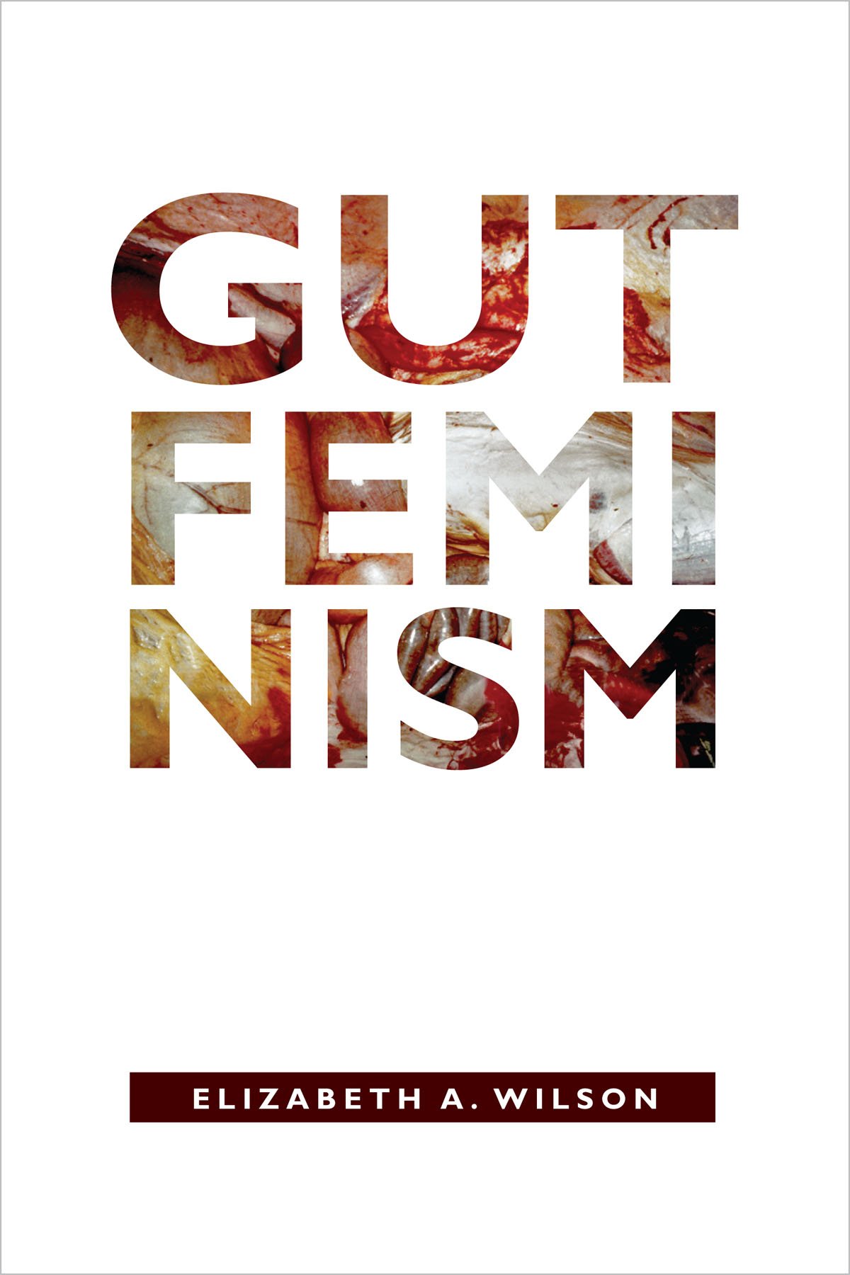 Gut Feminism (Next Wave: New Directions in Women's Studies),Eliz