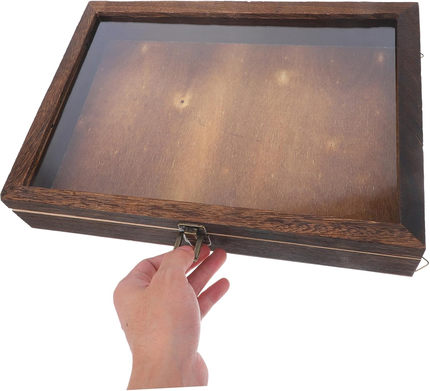 Vintage Specimen Display Box for Insects Convenient Wall-Mounted Case for Butterflies and Dried