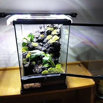 【受注生産】滝の流れるアクアテラリウム　イモリウム　苔　　アクアテラリウム完成品 受注生産】滝の流れるアクアテラリウム イモリウム 苔 水槽 苔