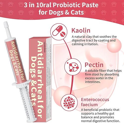 Miniatura 2 de Suplemento antidiarreico para perros, antidiarrea para gatos, pasta probiótica de caolín y pectina, apoyo digestivo de acción rápida, probiótico