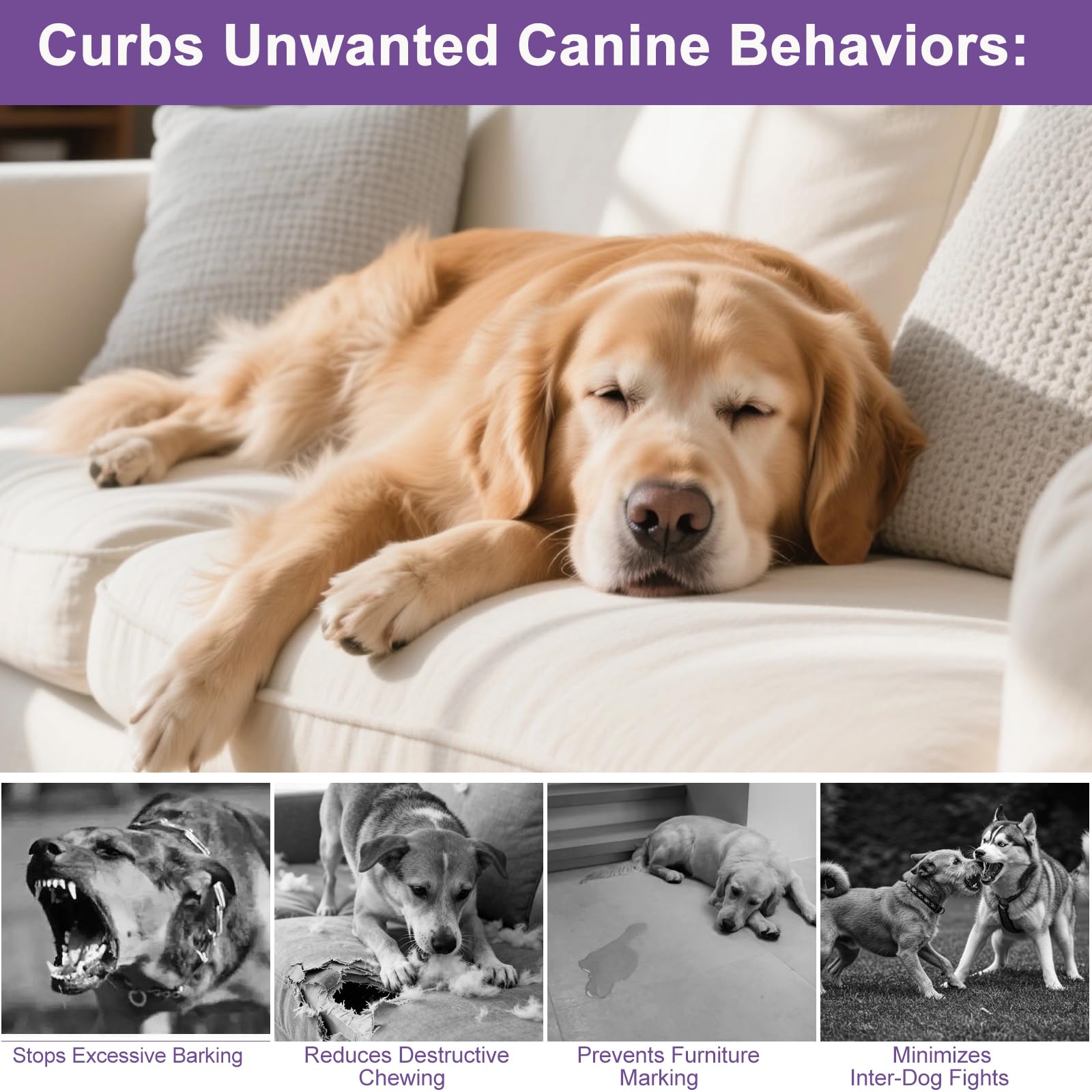 SLE Pheromones Chien Anti Stress Résout Les problèmes de marquage urinaire, Stoppe Aboiements/Mâchonnage/Marquage, Calmant Apaisant Prise Phéromones (2 Diffuseur+4 Recharges)