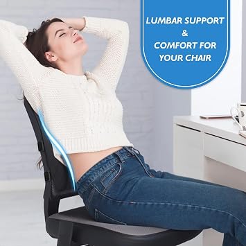 LumbarPal Lumbar Support Pillow for Office Chair Back Support Lumbar Pillow for Car, Gaming, Office Chair - Improve Sitting Posture & Back Pain Relief, Memory Foam, Adjustable Straps, Black