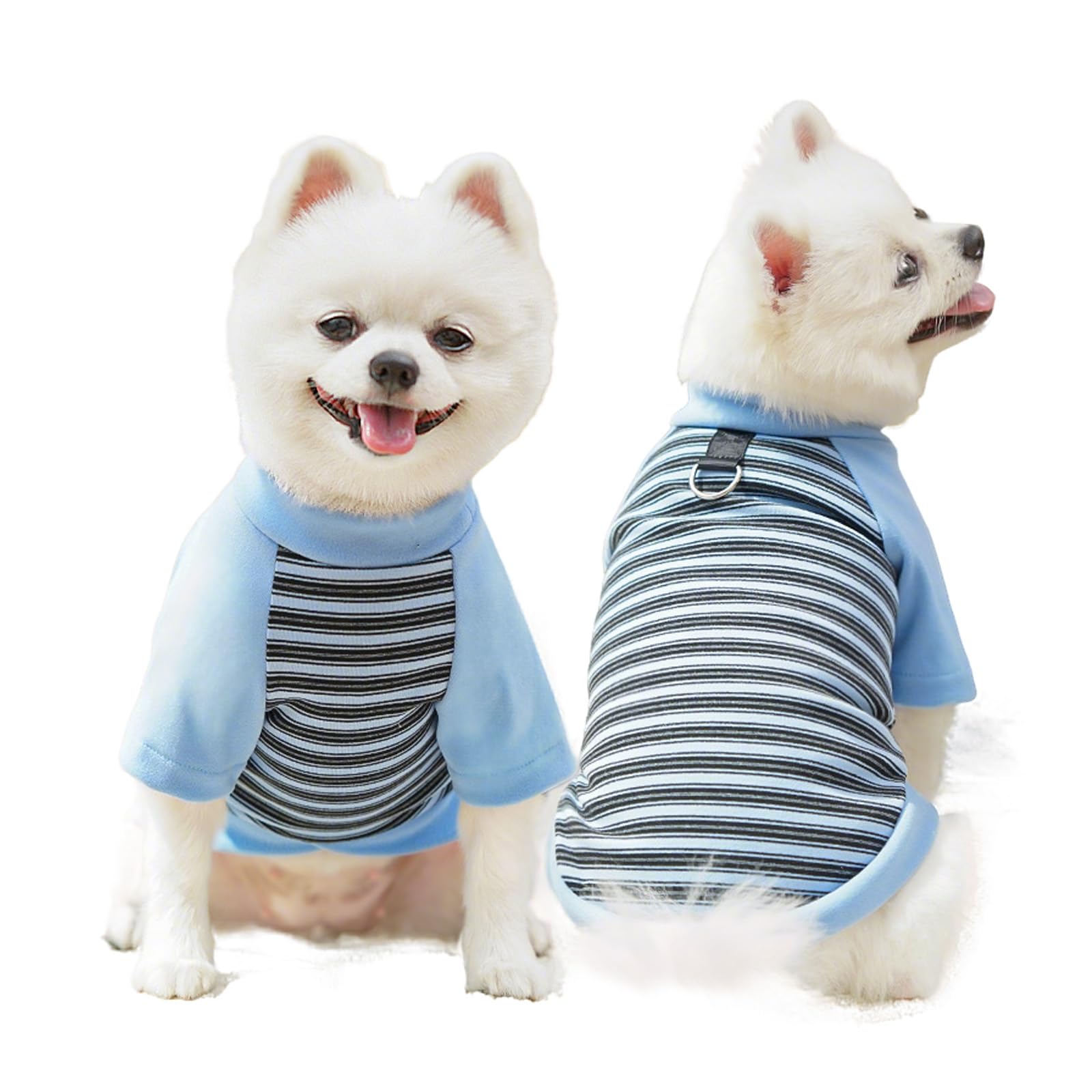 Yoolhamy Dog Clothes for Small Dogs Jumper Winter Warm Striped Outfits with Leash Ring Soft Sweatshirts for Chihuahua Schnauzer Shih Tzu Yorkie French Bulldog (Blue