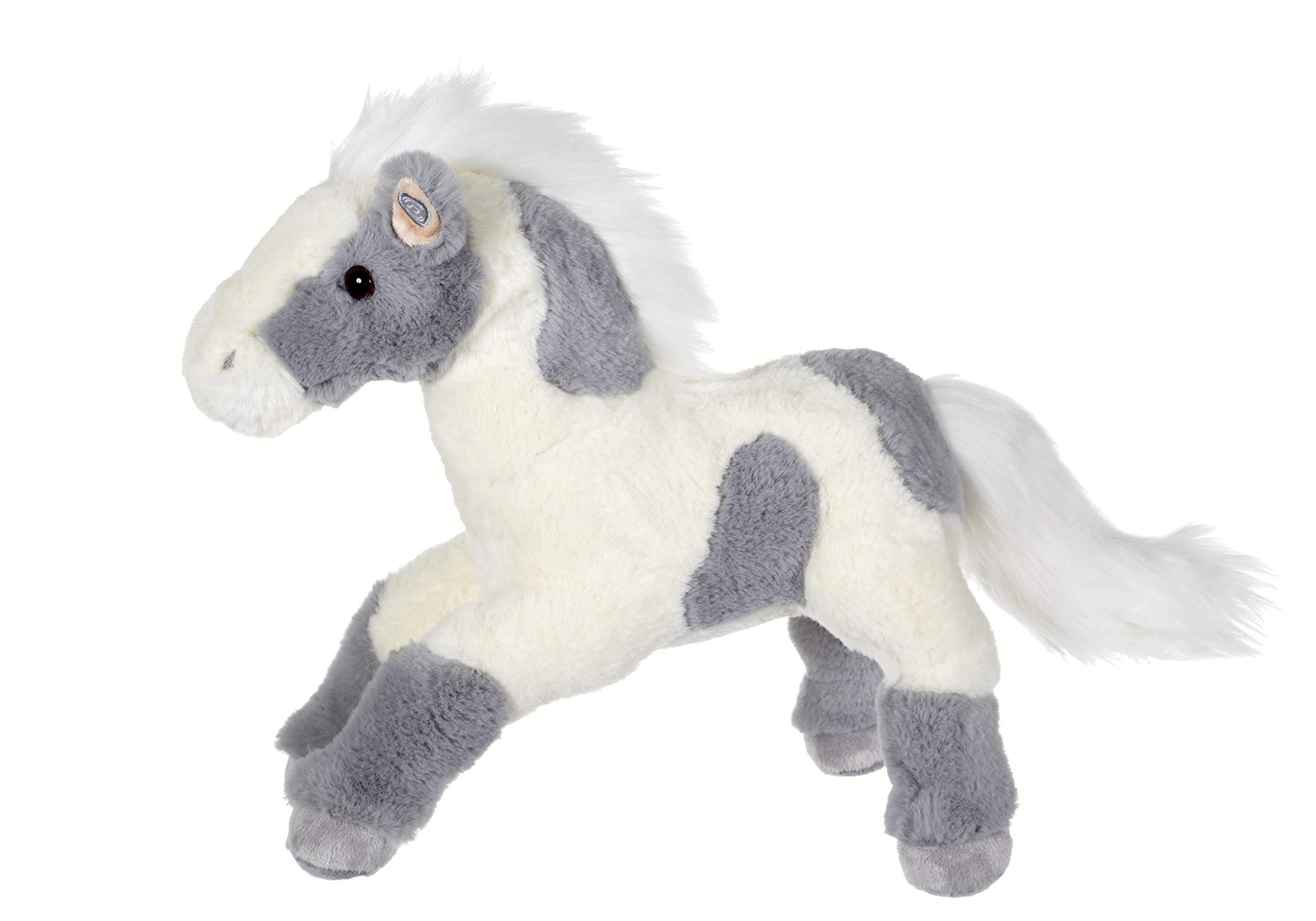 Plus de poneys/petits chevaux Jument 8 Ans 147 cm Gris pommelé in Plus de poneys/petits chevaux Jument 8 Ans 147 cm Gris pommelé in
