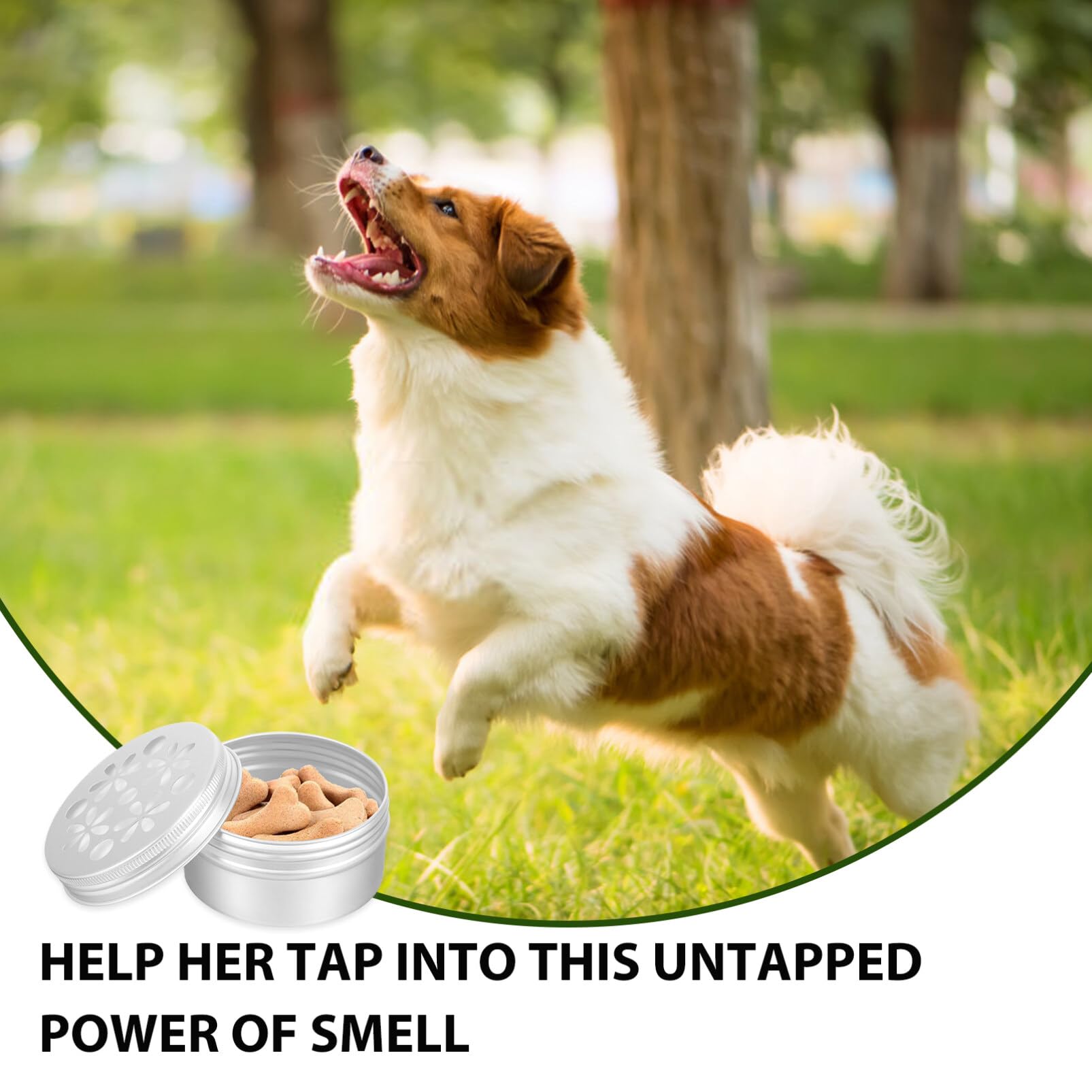Happyyami Contenedor de Entrenamiento de Olfato para Perros 80ml 10uds | Aluminio Plata, Resistente al Desgaste Mordidas, Formato Compacto para Uso en Lotes de Diez