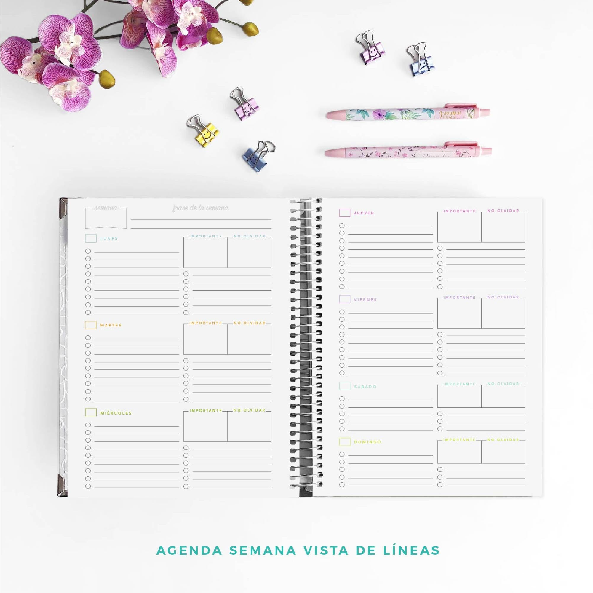 Agenda docente - Cuaderno del profesor - Sin fechas - Semana Vista (12 hojas de listados de cuadrícula)