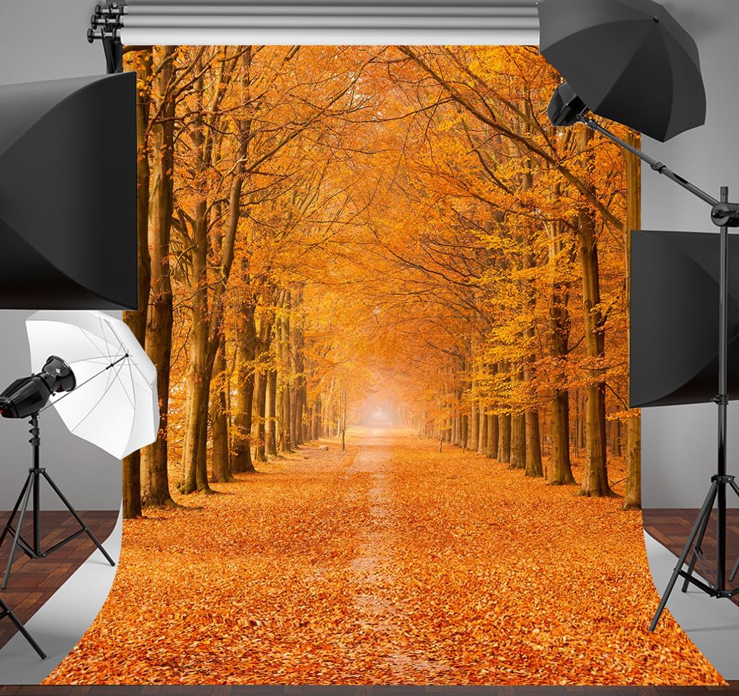 Fotohintergrund Herbstwald - 300x240 Cm Vinyl Für  Produktbild-Vorschau 10