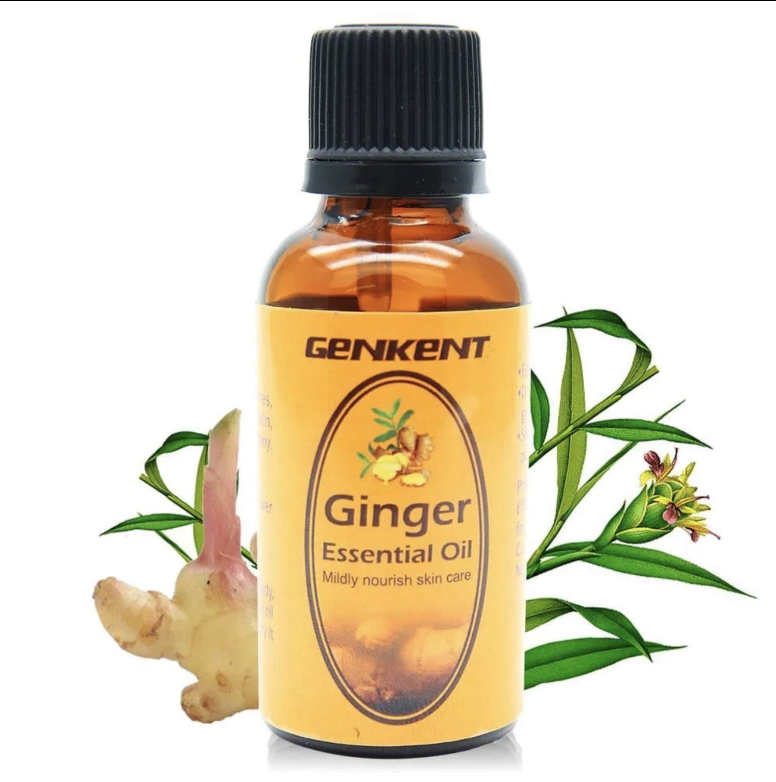 Buy Lymphatic Drainage Ginger Massage Oil for Edema, Spider Veins and
