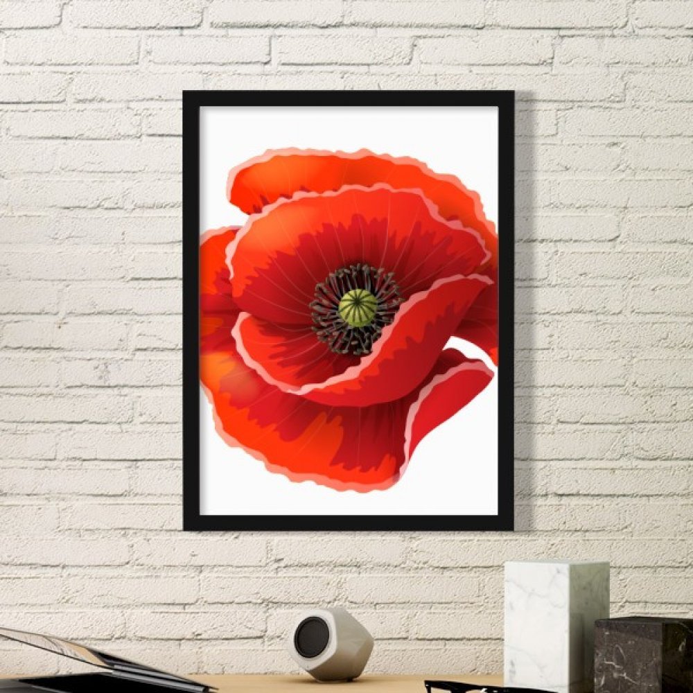 Peinture rouge fleur big corn poppy encadrement noir medium art prints pour salon