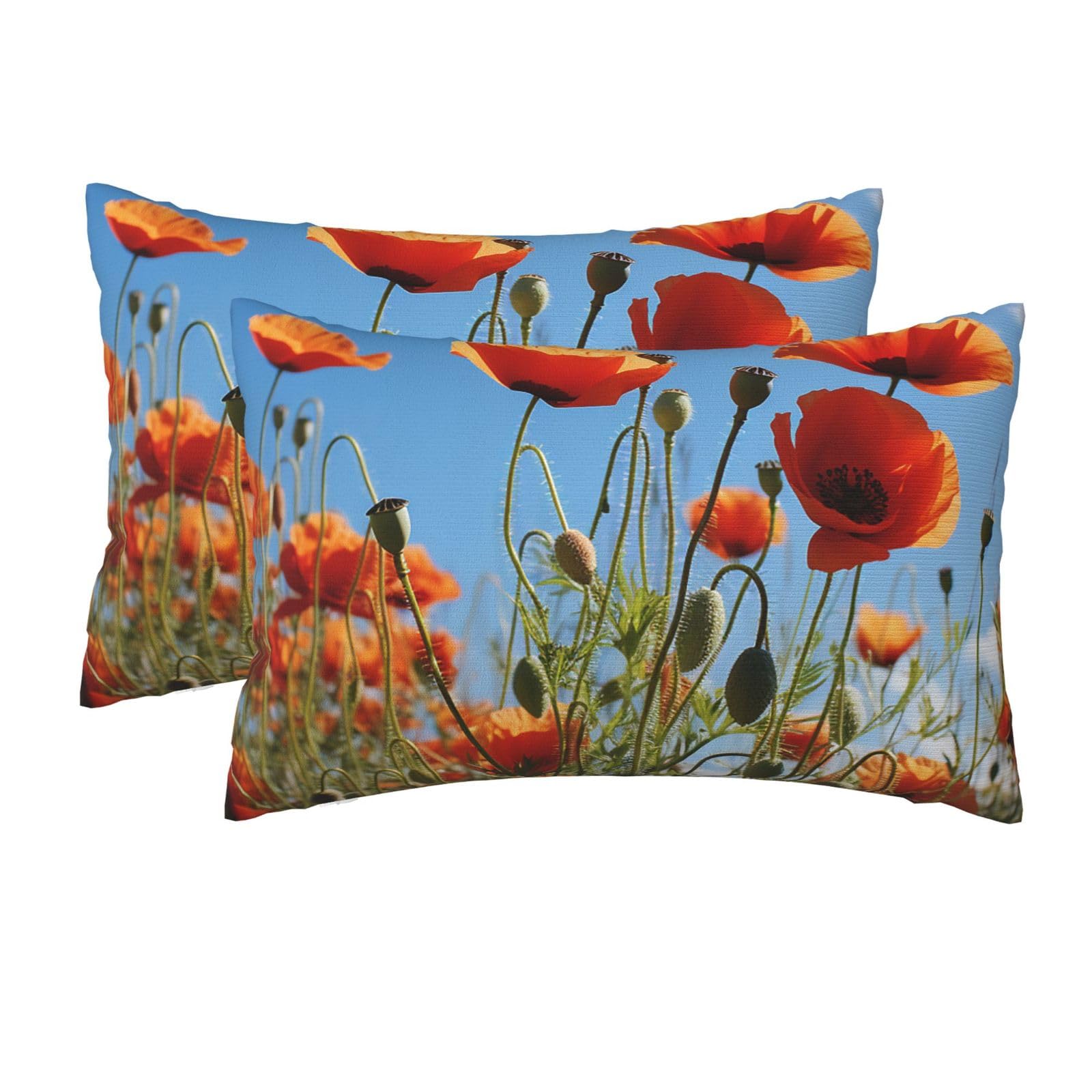 2 Pack Queen Pillow Cases with Hidden Zipper, Soft Breathable Pillow Covers for Hair and Skin, Poppies on Blue Sky Pillowcases 20"x30" Bed Pillow Protectors Cover for Sleeping Gifts