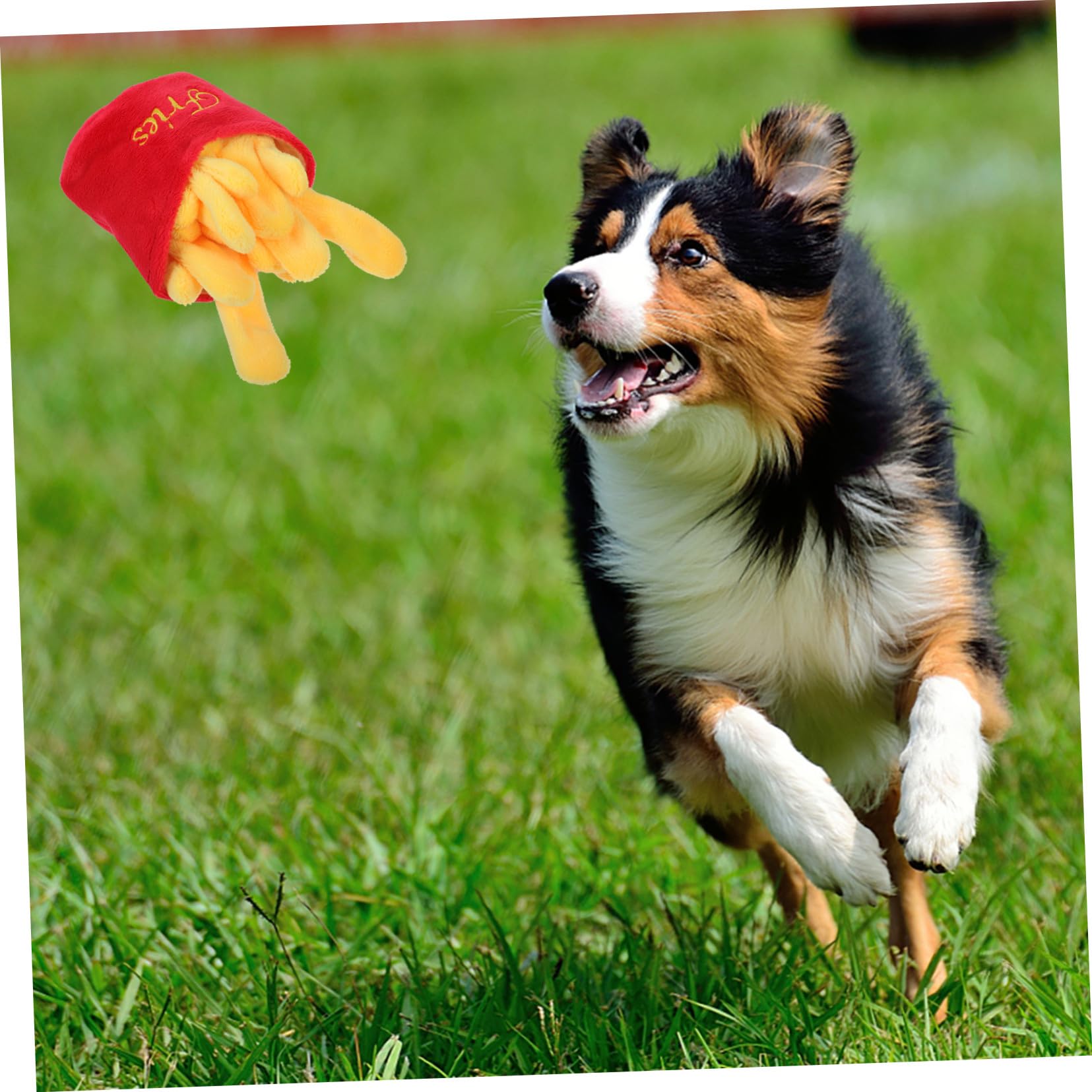 VANZACK Jouet Couineur pour Chien en Peluche Rouge, Résistant aux Morsures, Imitation Nourriture, pour Jouer et Mâcher, Stimulant pour Animaux de Compagnie