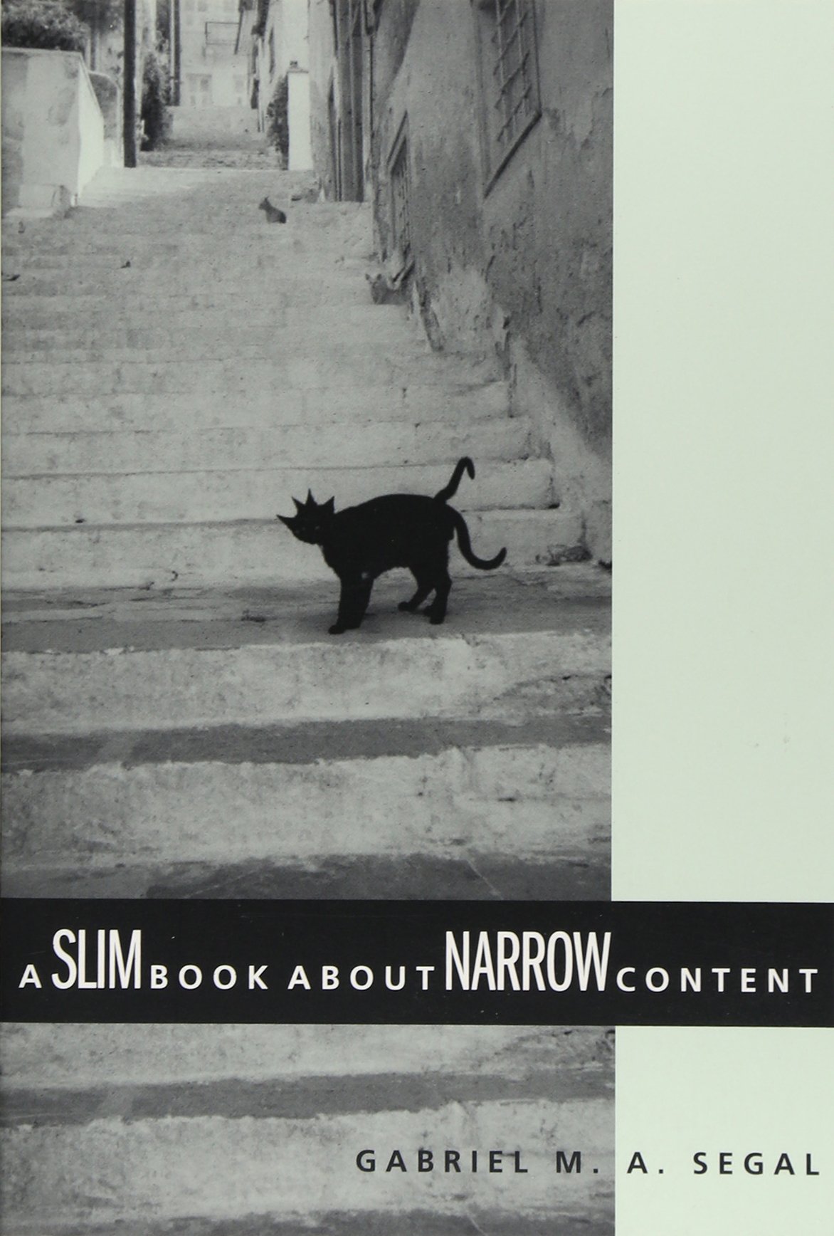 Buy A Slim Book About Narrow Content (Contemporary Philosophical Monographs) — BookShops.in