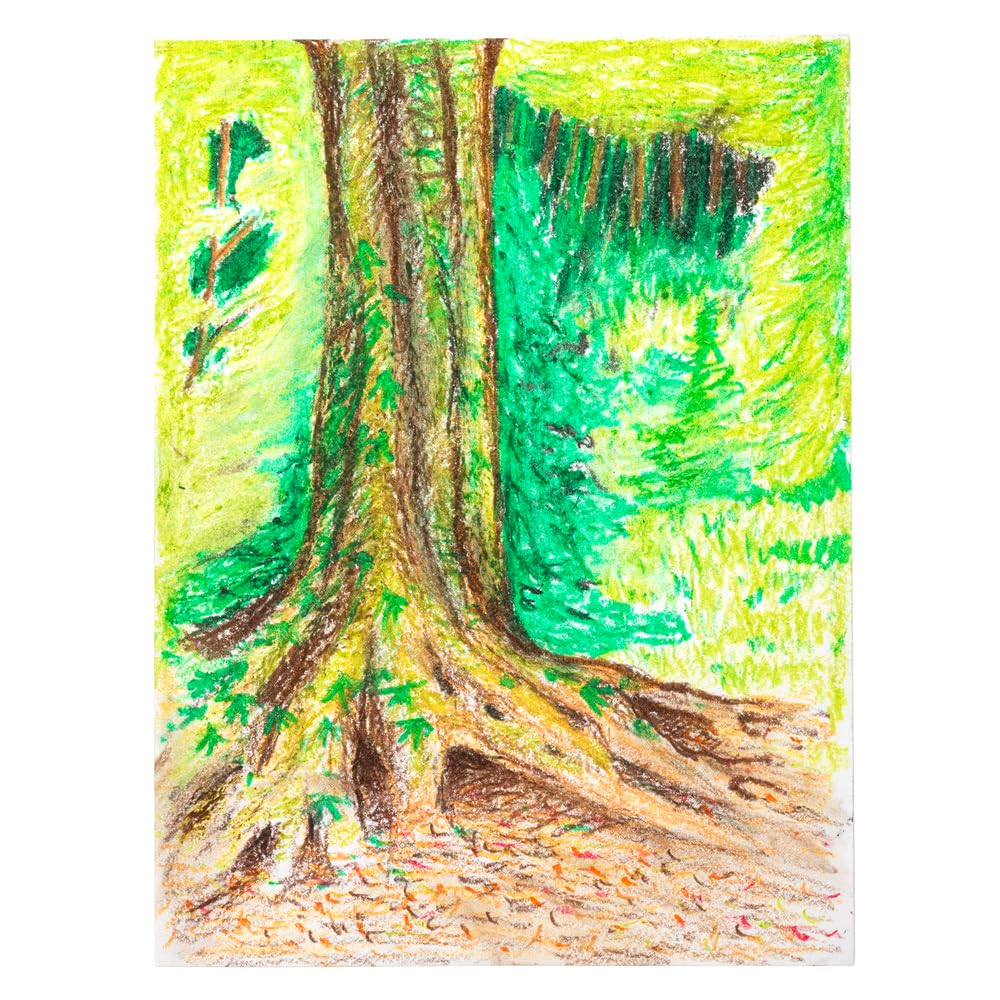 Colorations Oil Pastels , 20 Colors, Set of 40 Easy to Grip Hexagonal Shape, Smooth Application, Non Toxic - Image 6