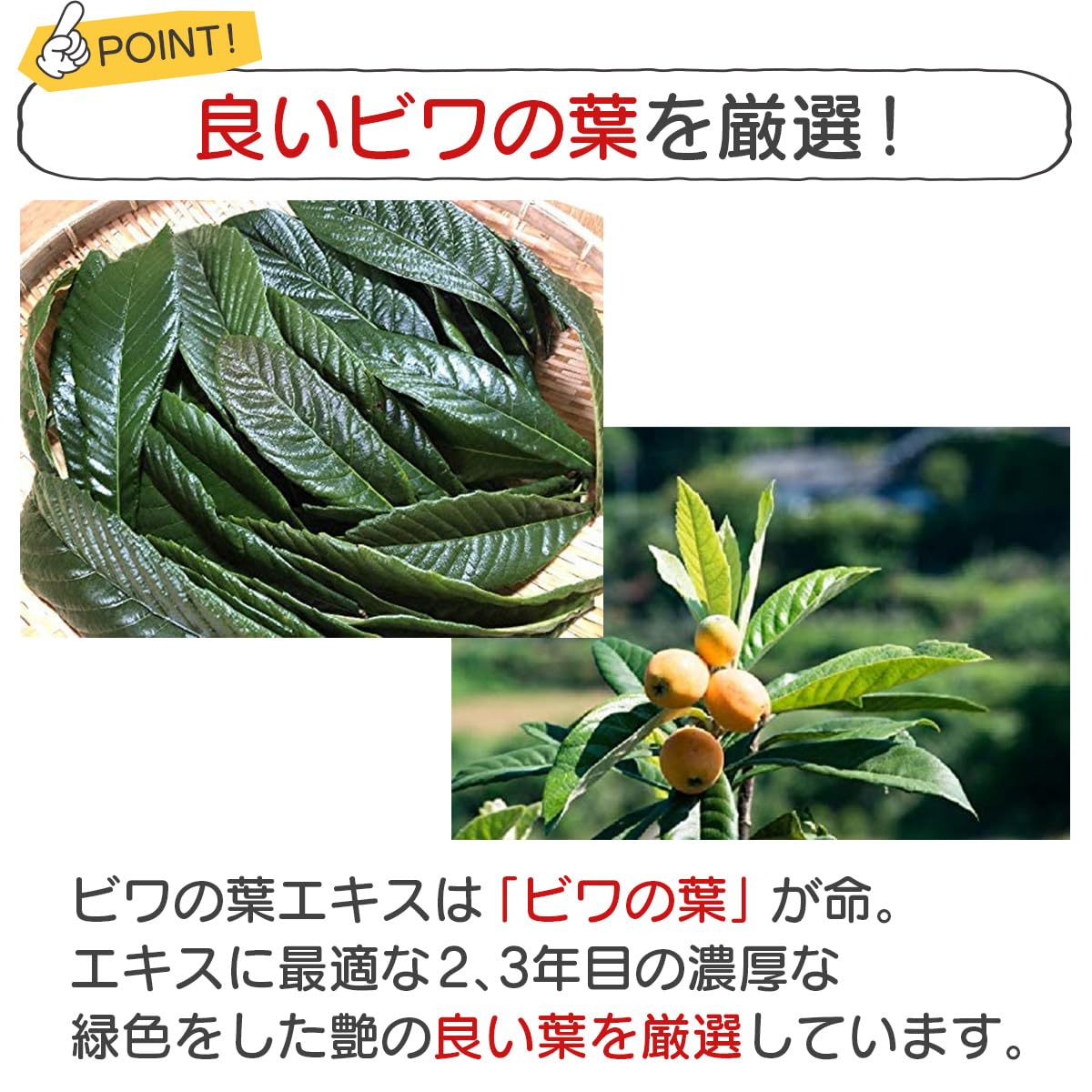 Amazon | ビワの葉エキス 100ml 紀州橋本里山農園 和歌山県産 無農薬
