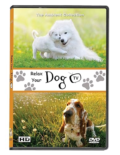 Miniatura 2 de DVD For Dogs To Watch - Relaxing Dog Videos - Relax Your Dogs With Super-cute Dogs In Natural Scenery From Beaches To Snow To Calm Your Dog