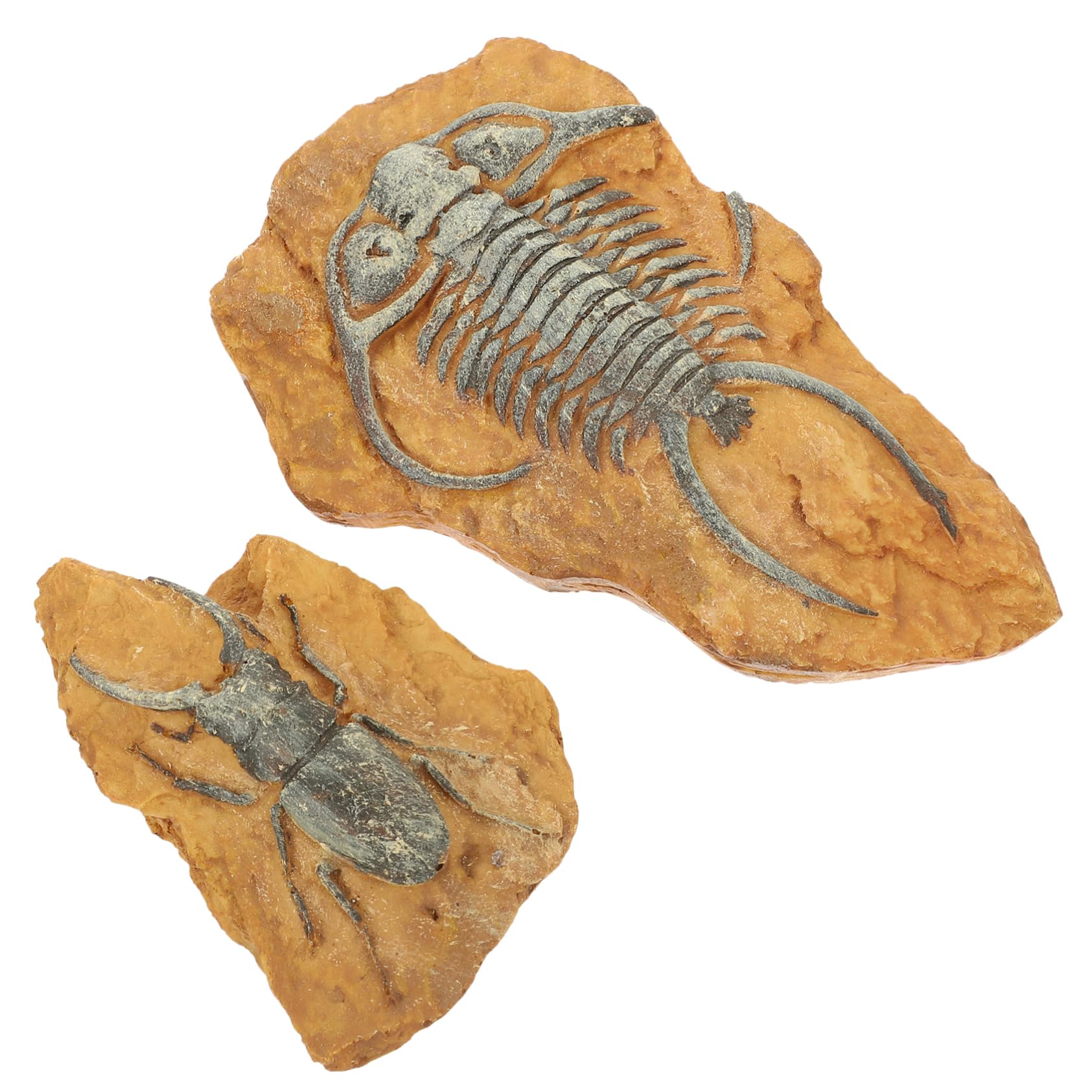 Hohopeti 2Pcs Decorative Landscape Terrarium Decors Simulation Fossil Trilobite Reptile Box Ornament Craft for Lizard Habitat DIY Natural Aesthetic Design