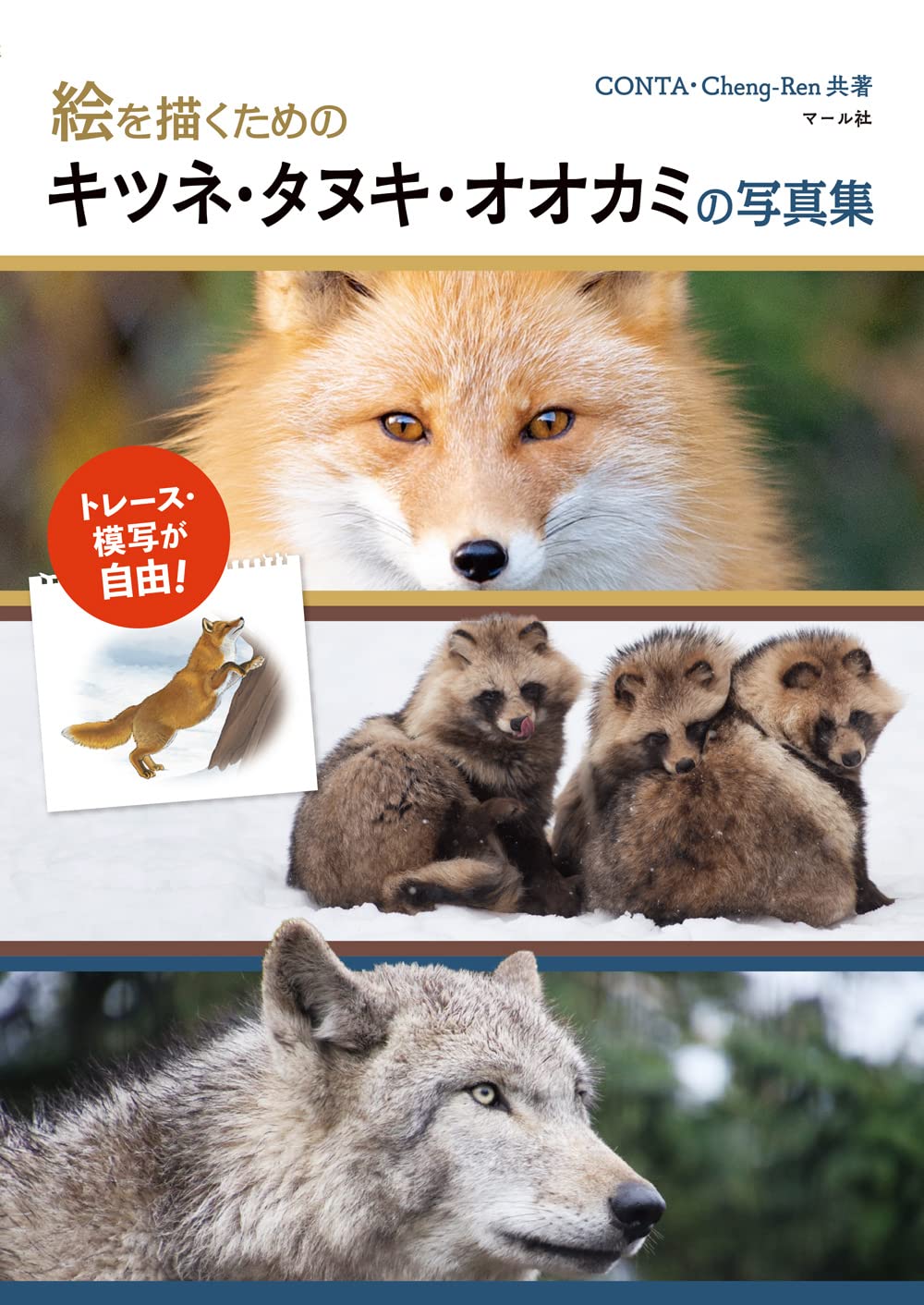 絵を描くためのキツネ タヌキ オオカミの写真集 Conta Cheng Ren 本 通販 Amazon
