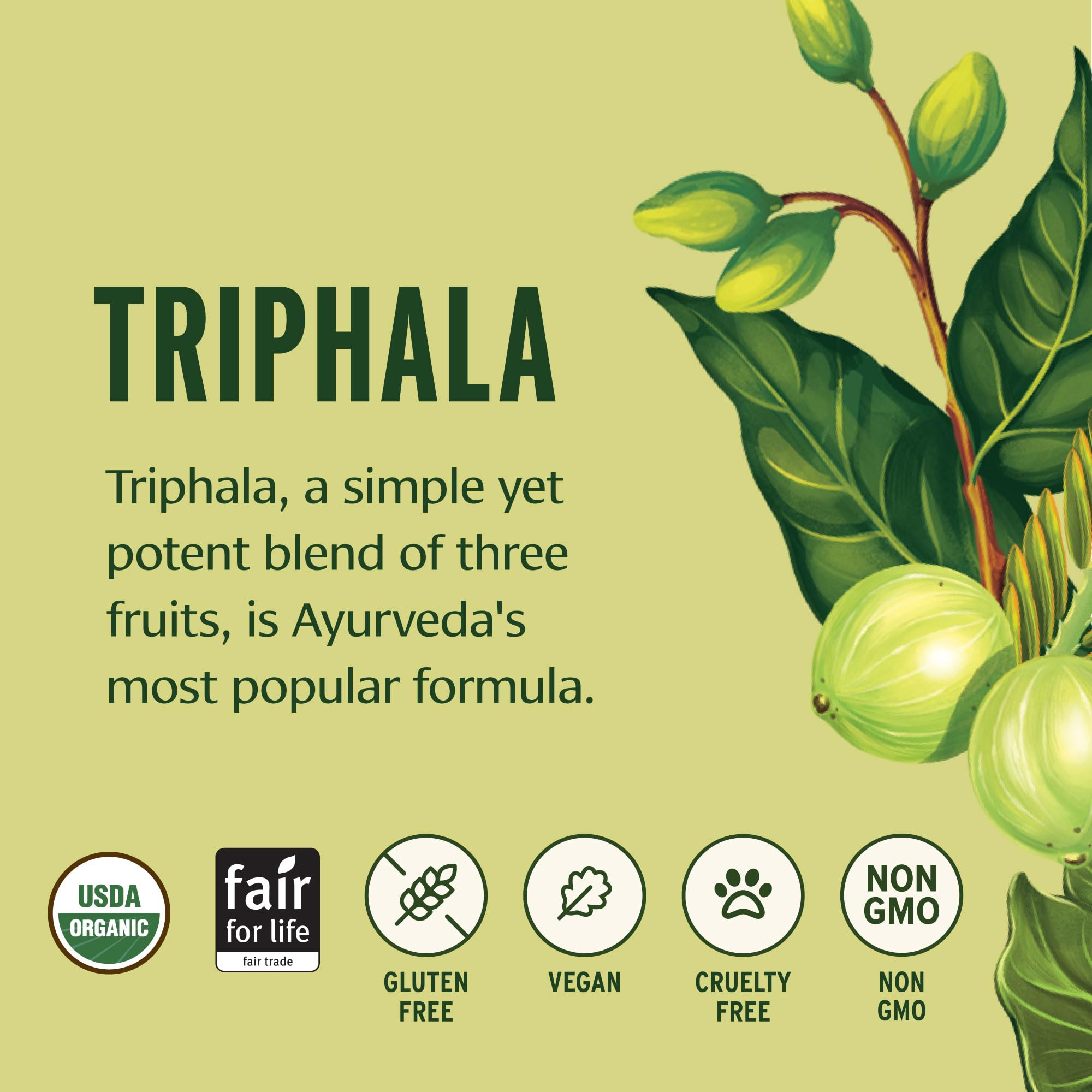 Banyan Botanicals Organic Triphala Powder – Daily Digestive Support & Gentle Colon Cleanse – Pure Amla, Haritaki & Bibhitaki for Gut Microbiome Health & Regularity – 1/2 lb – USDA Organic — Amazon image 3