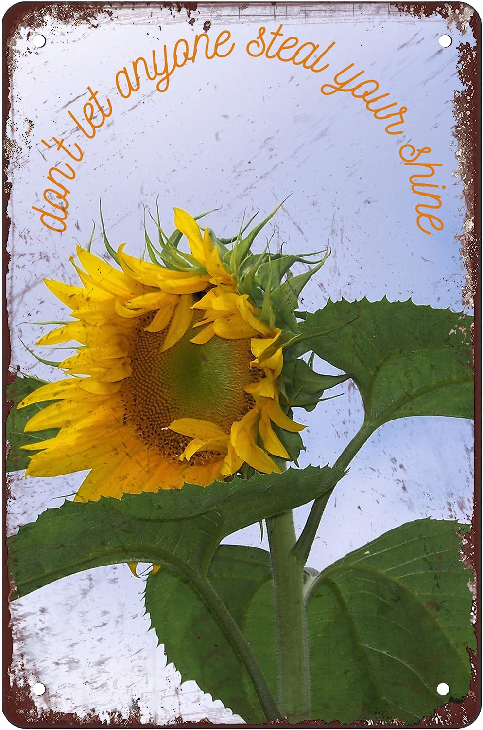 Kwqdozf As Pic Vintage Metal Tin Sign Tall Sunflower Wall Art For Home Kitchen, 8X12 Inch