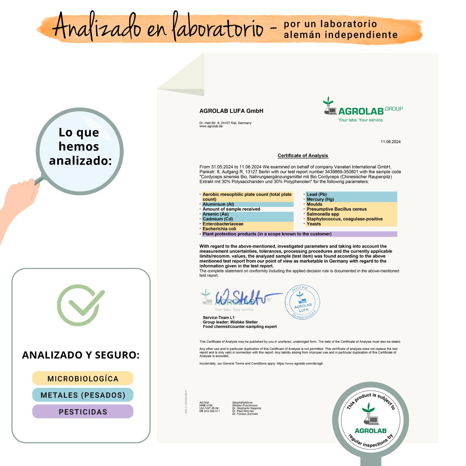 Cordyceps Sinensis Ecológico | 13000 mg (20:1) | Extracto Real CS-4 | 40% Polisacáridos + 0,5% Adenosina | 60 Cápsulas para 2 Meses | Energizante y Vigorizante | Sin Aditivos y Vegano | Vegavero