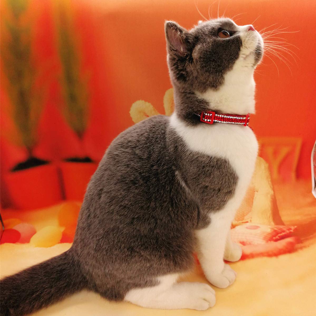 THAIN Verstellbares Katzenhalsband mit Glöckchen für Kätzchen, Mädchen, Jungen, Rot