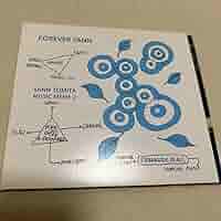 Amazon.co.jp: CD ヤン富田「Forever Yann Music Meme2」Yann